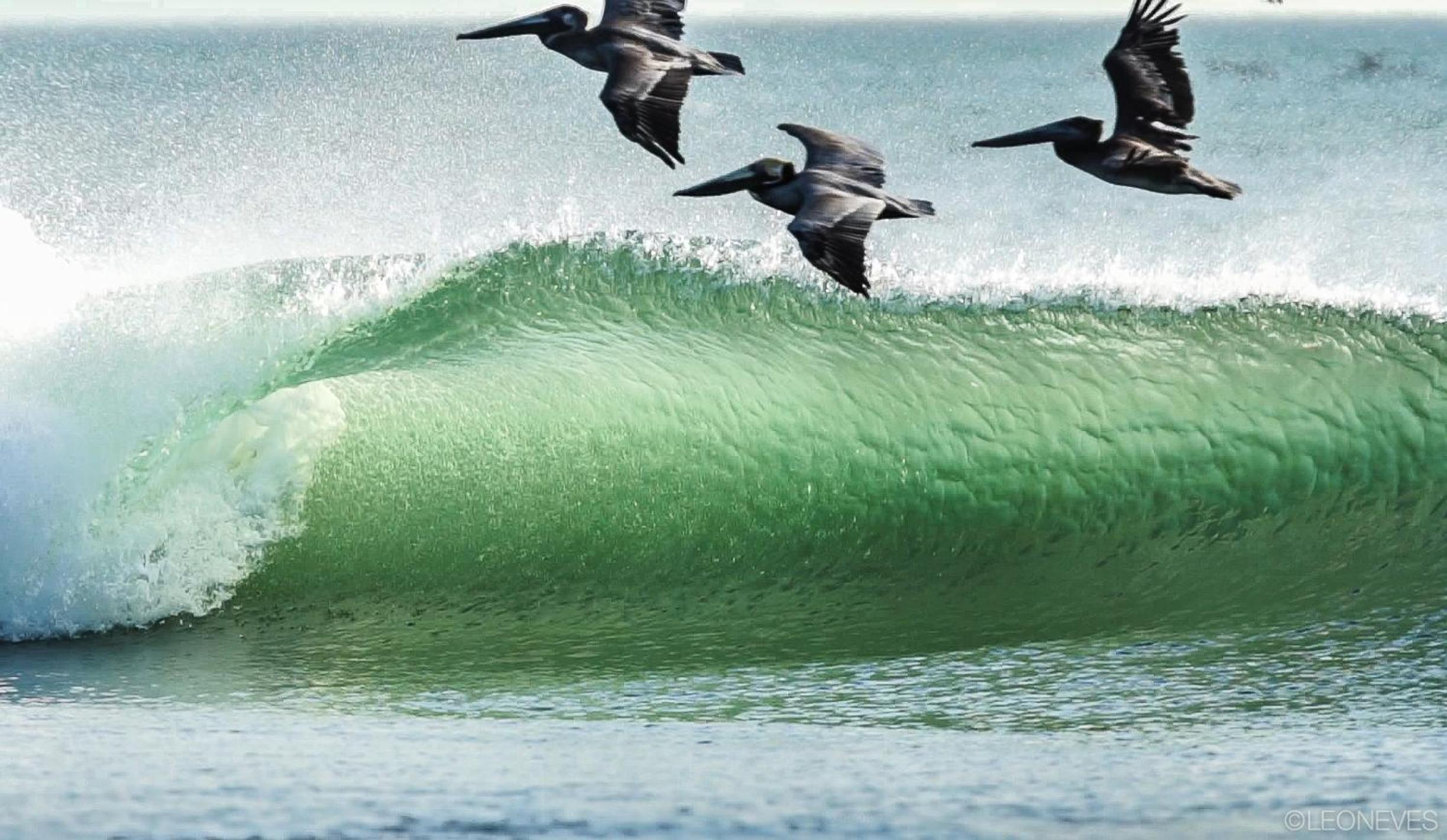 Miramar SurfCamp