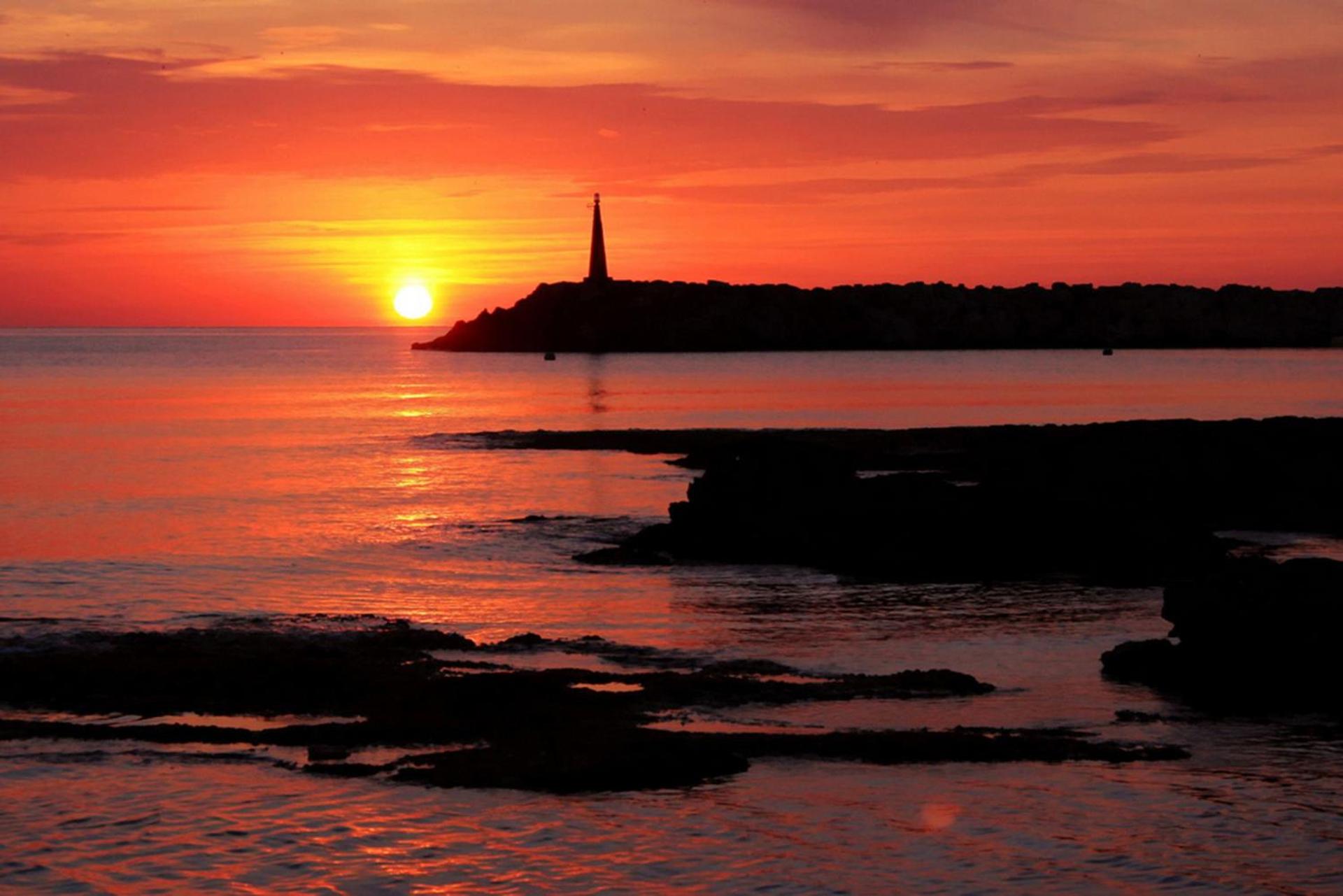 Villa Es Moli - Son Femenia photo 4