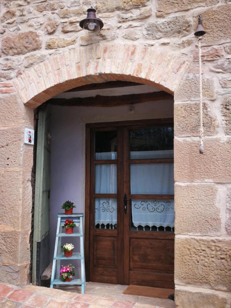 La casa dels ocells