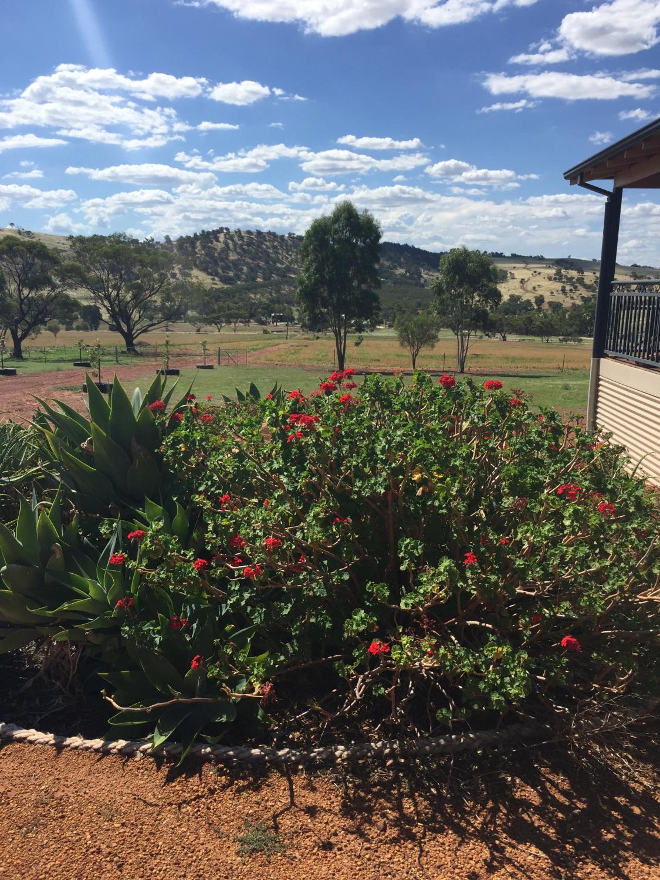Mountain Park Retreat