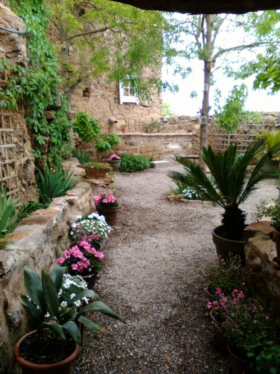 La casa dels ocells