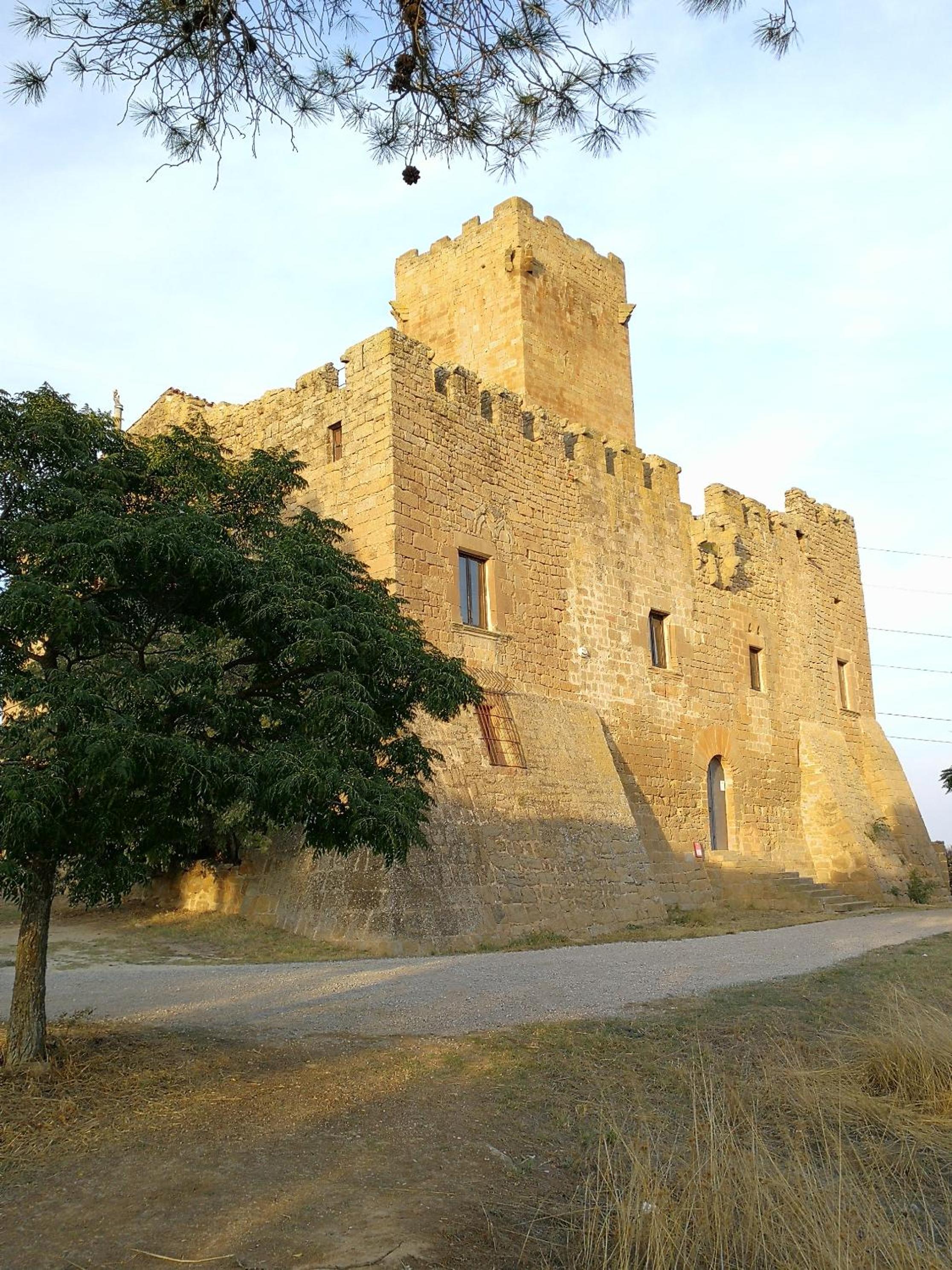 La casa dels ocells