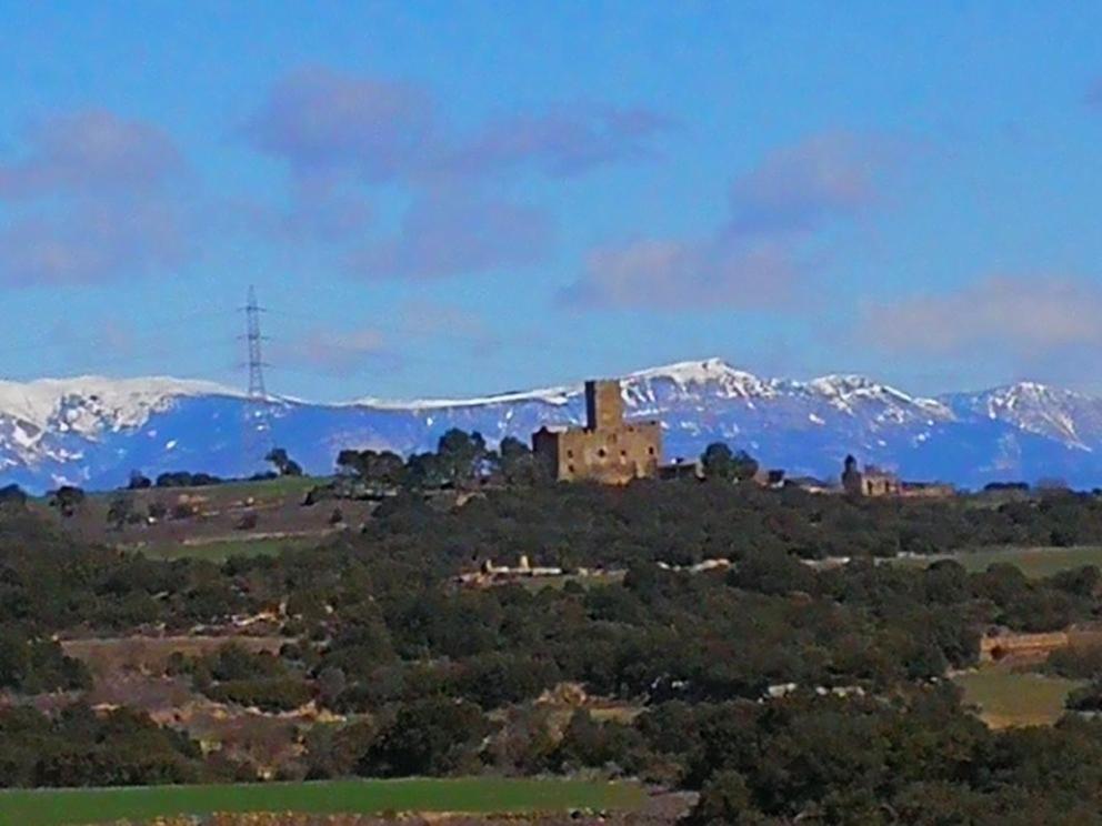 La casa dels ocells
