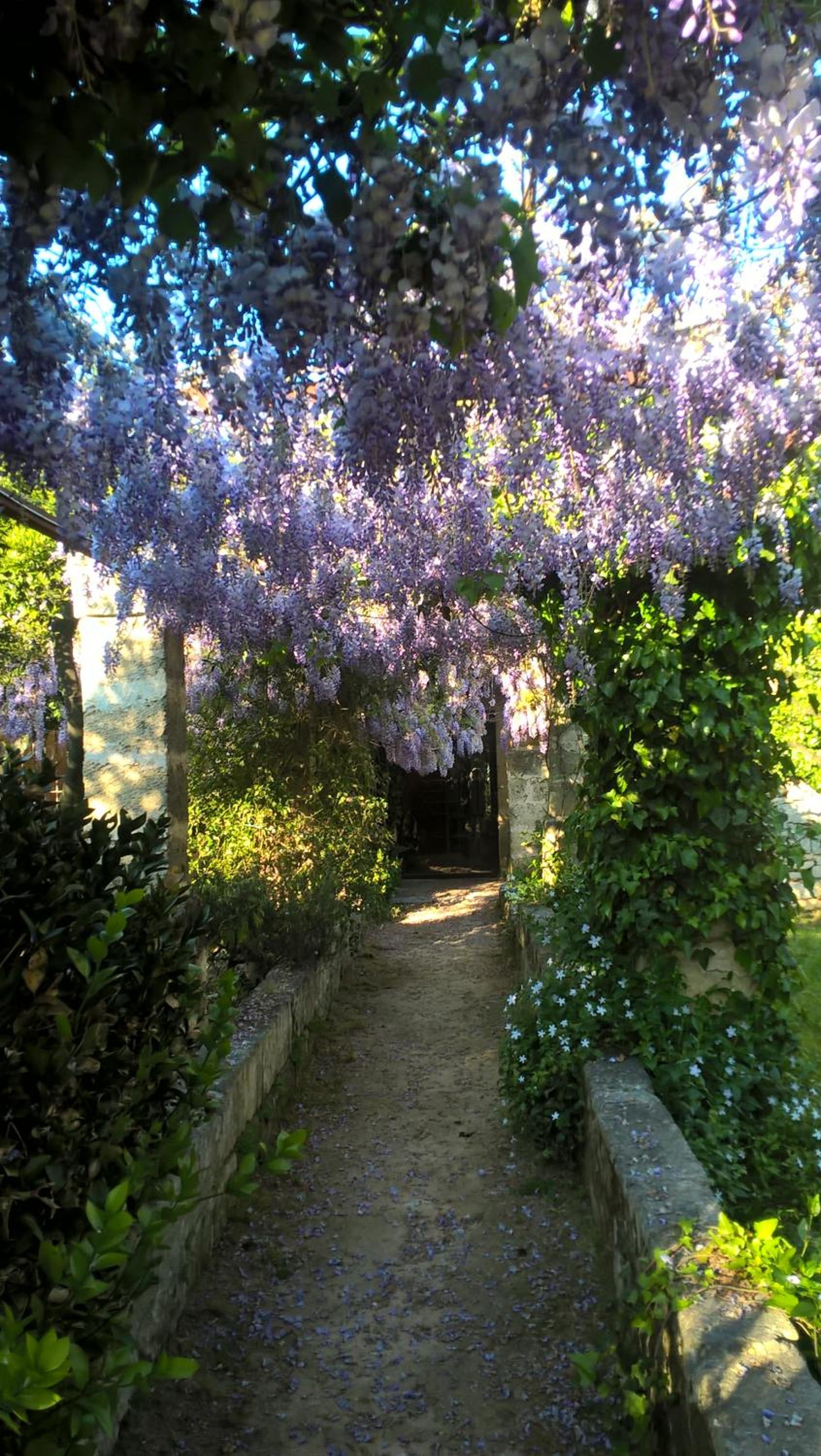 Casale del Forno