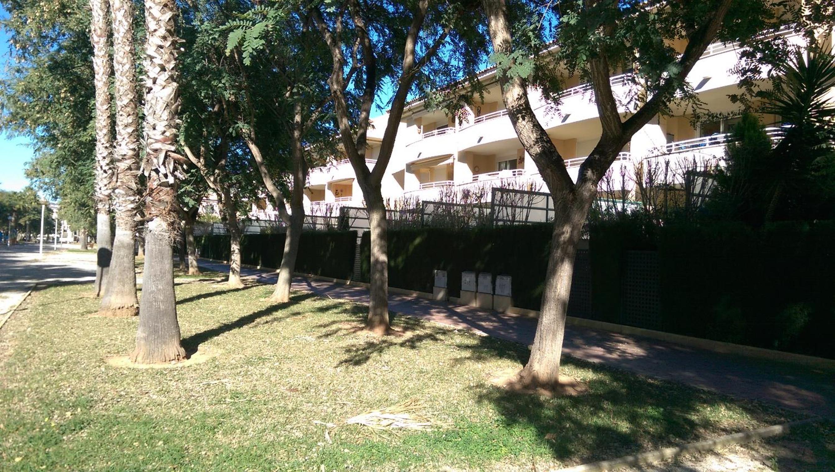 Photo 22