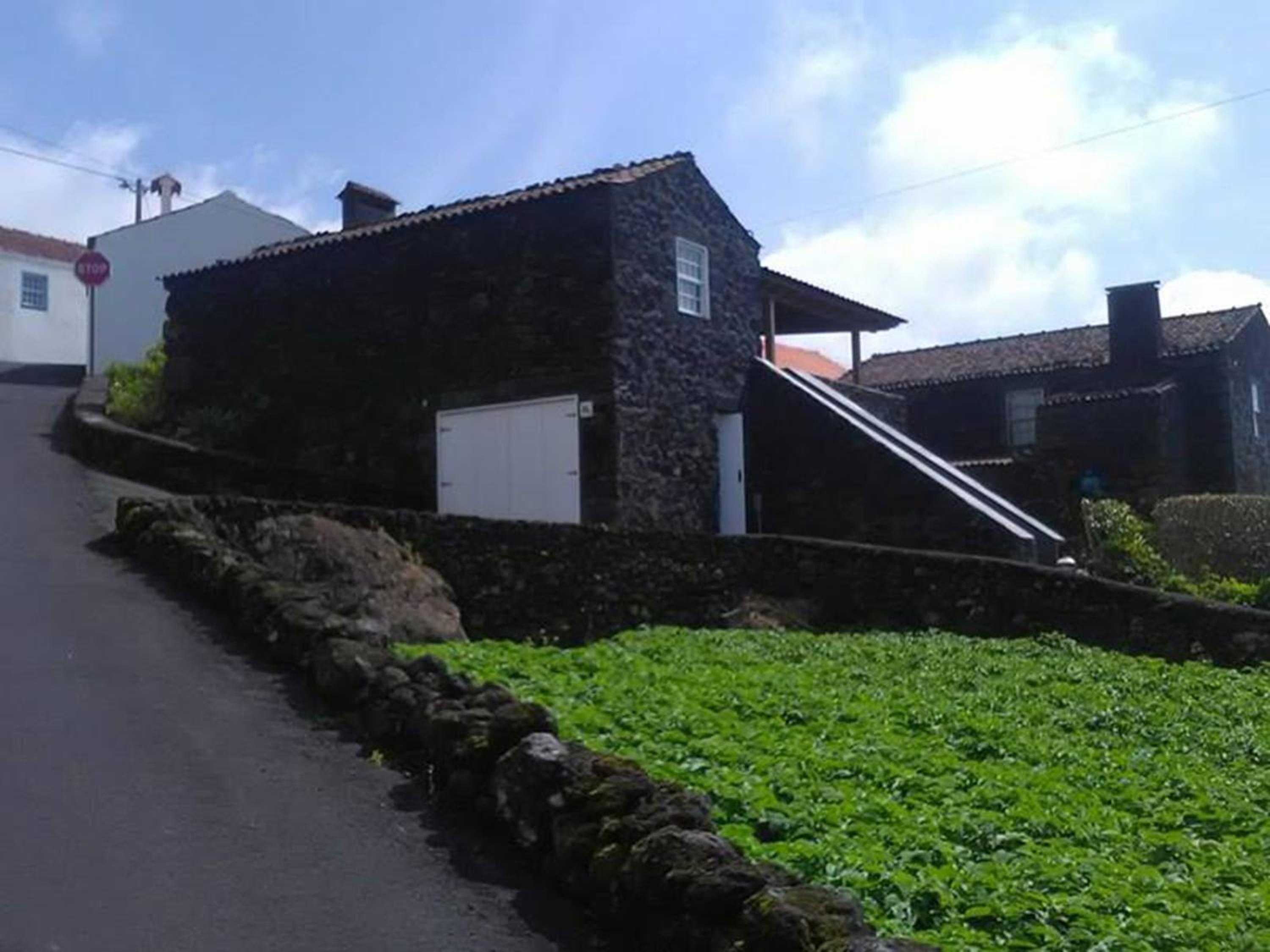 Adega da Figueira