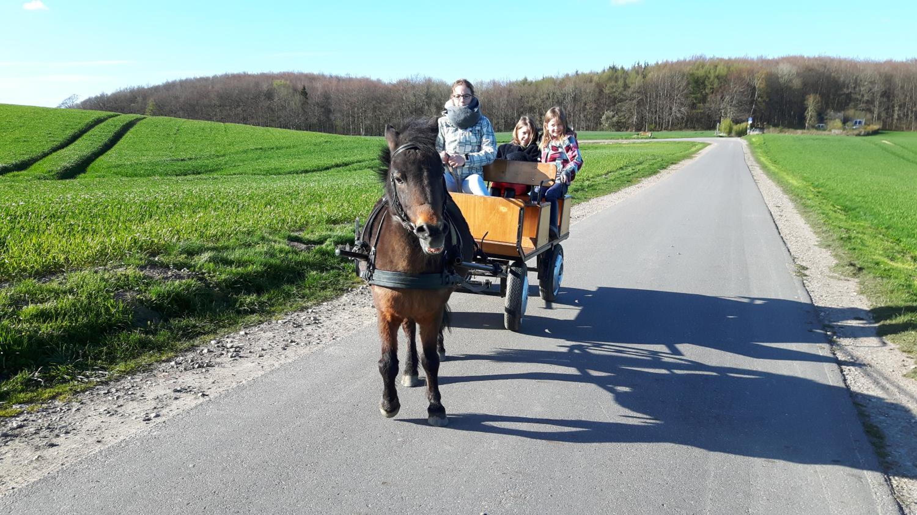 Ostsee Reetkate en Langballig