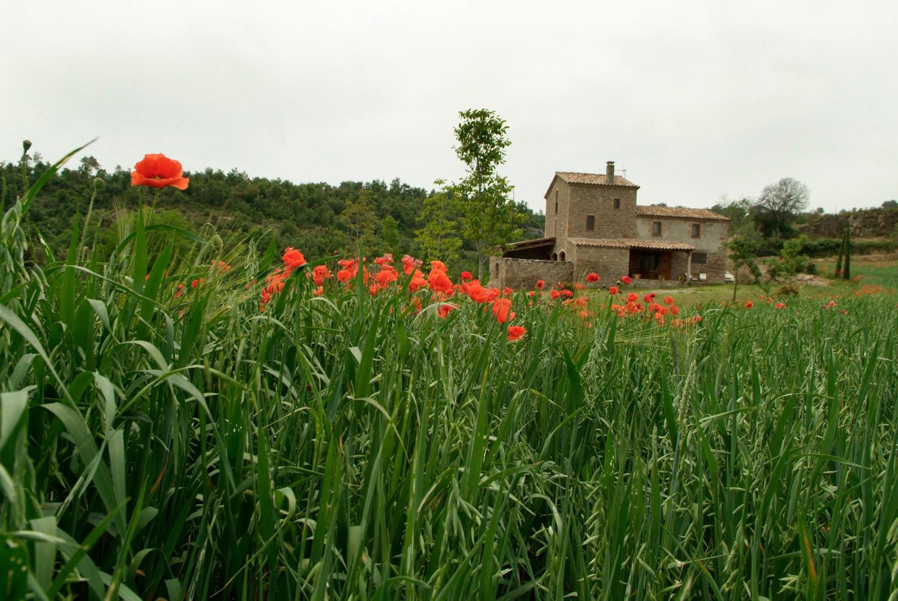 Photo 14
