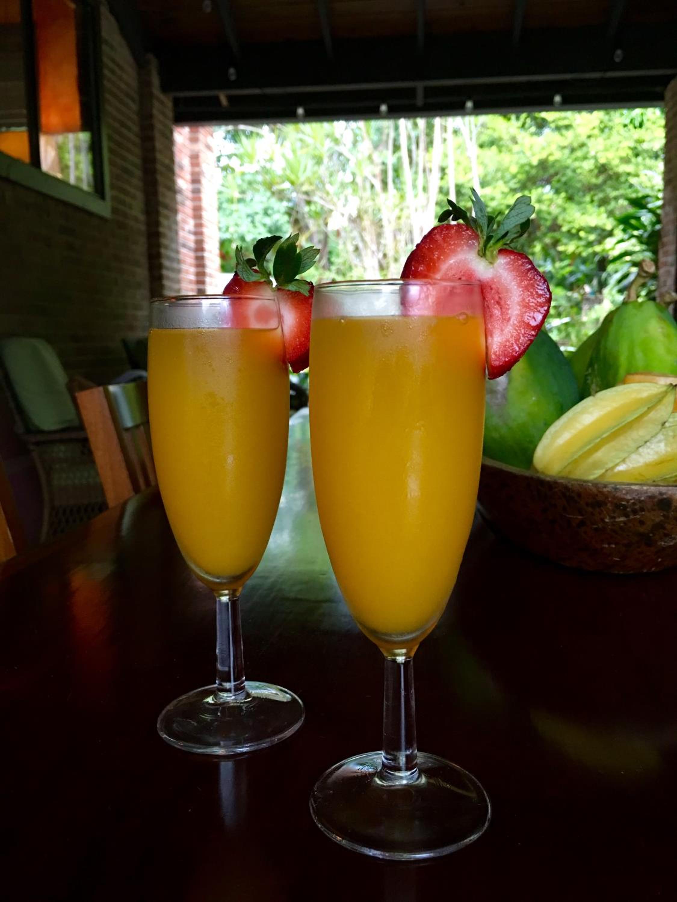 El Yunque Rainforest Inn - Property Image 7