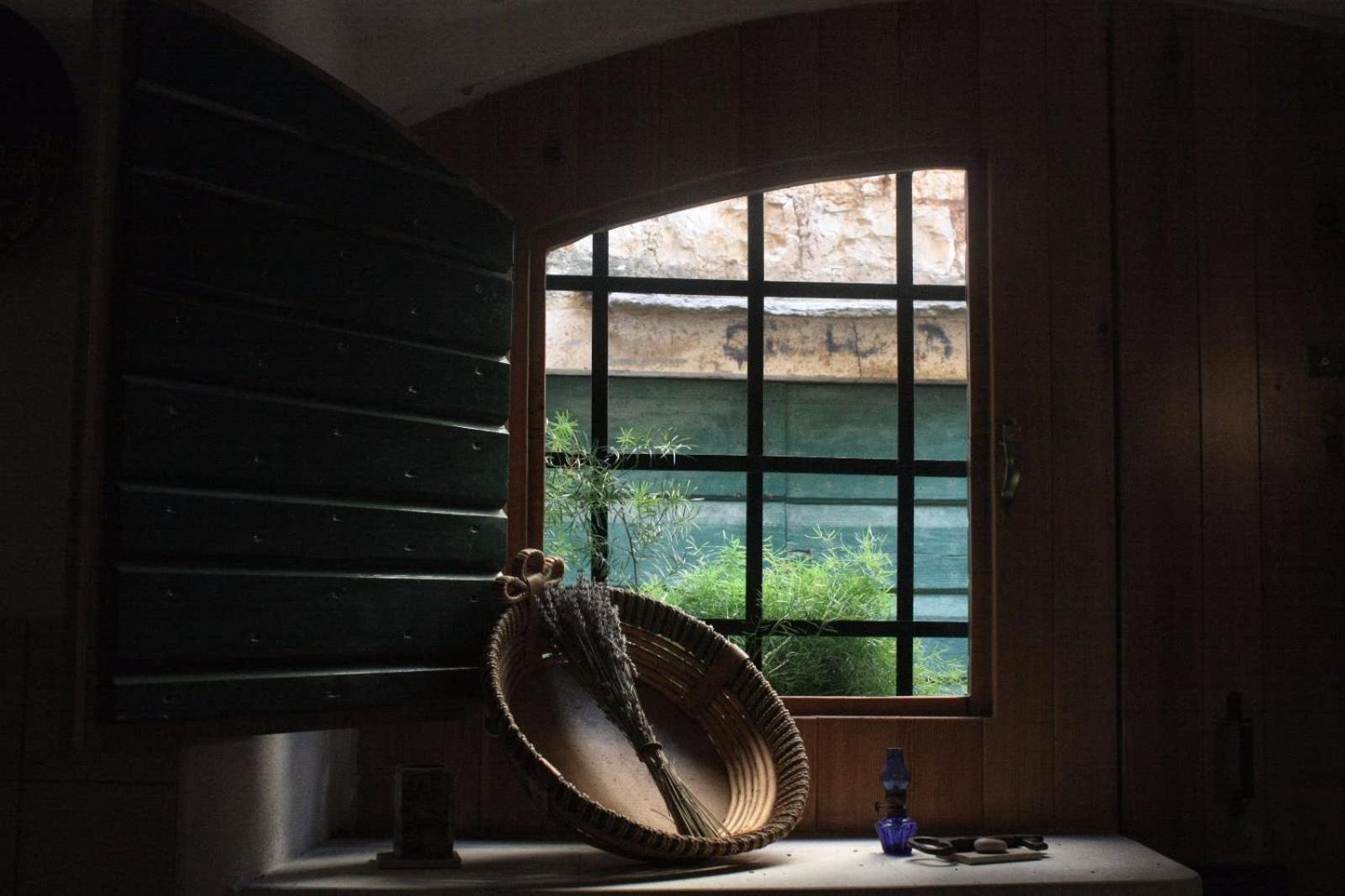Guest House Lucijo