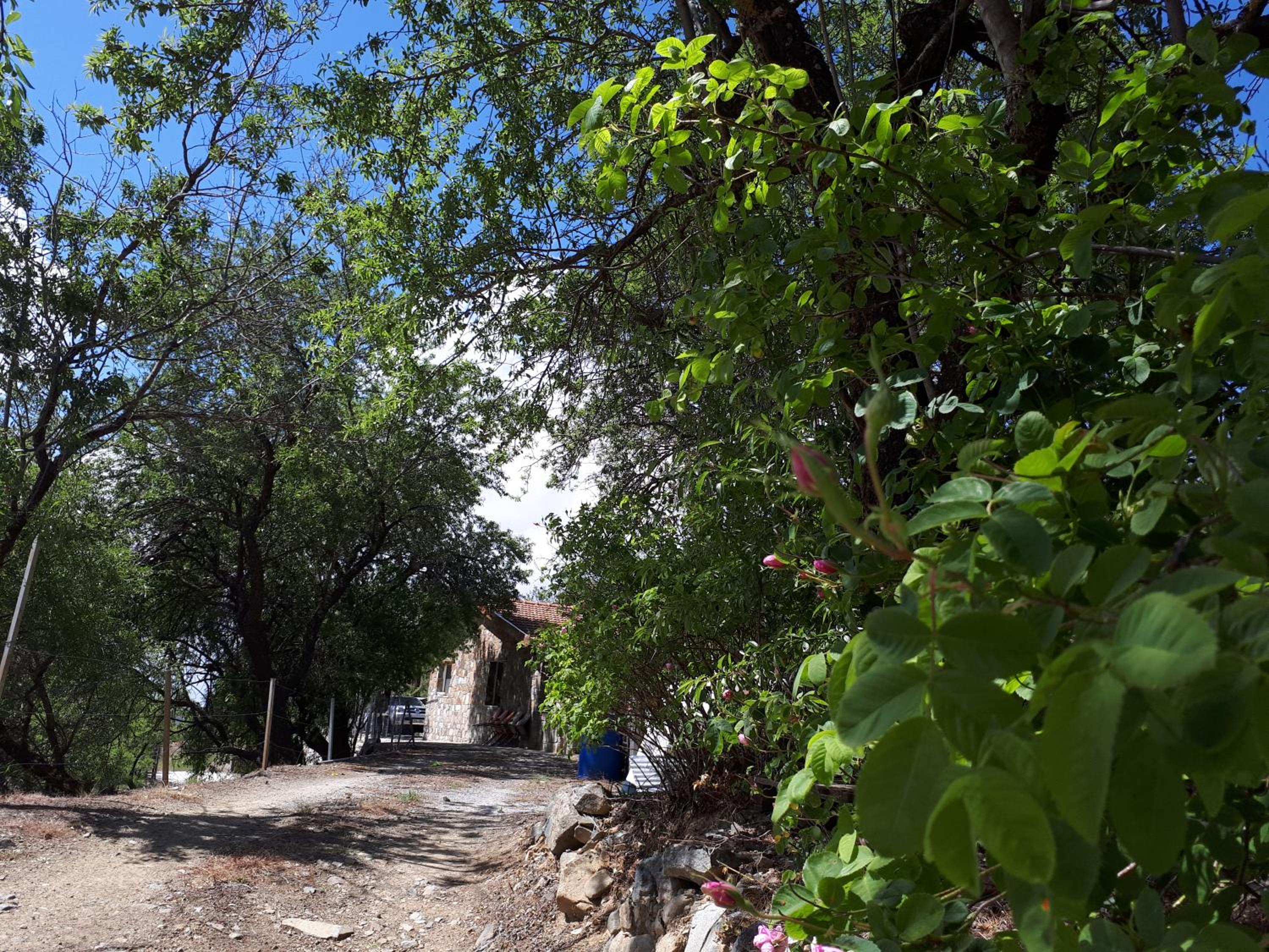Agrompelo House