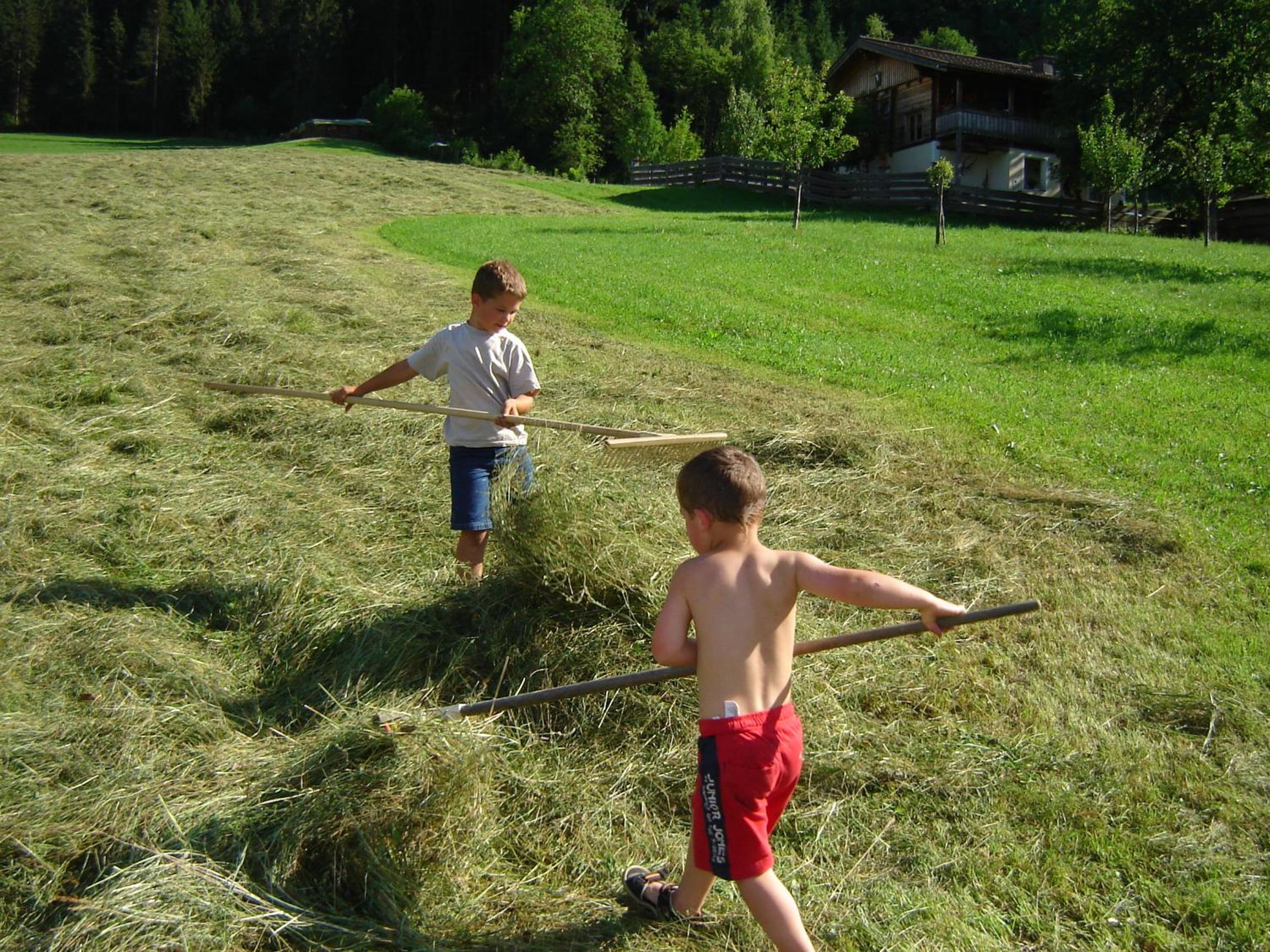 Photo 33