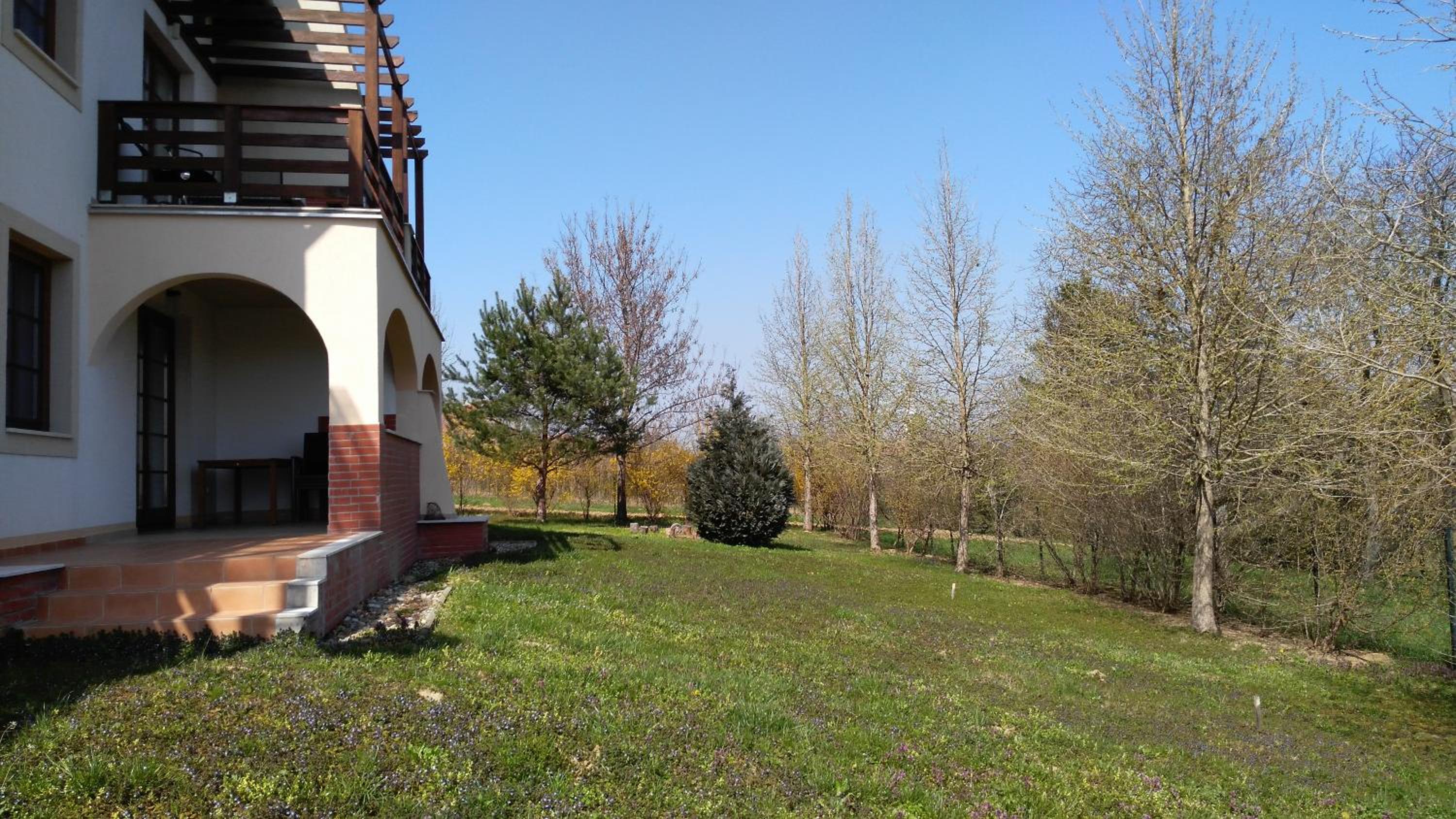 Photo 40