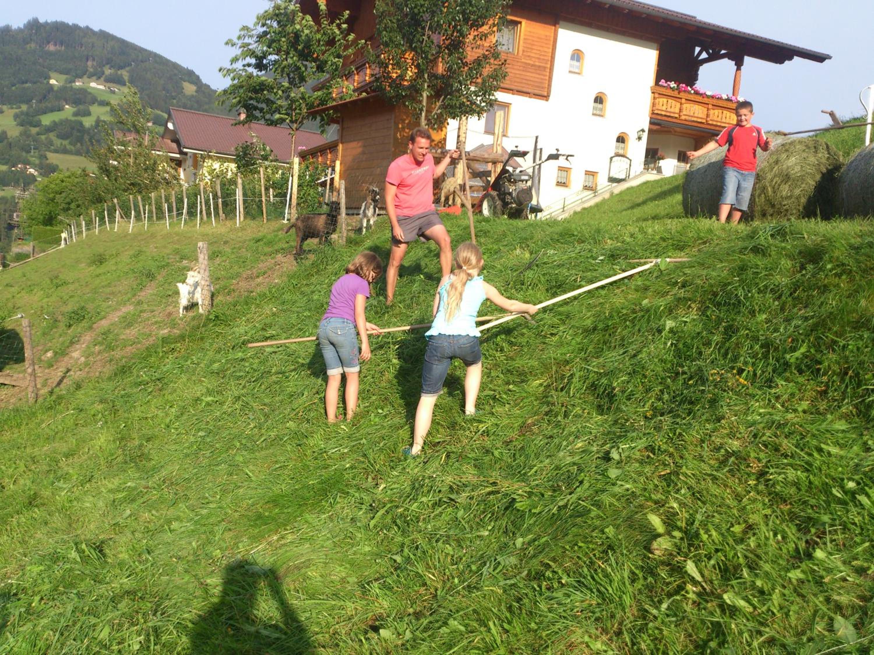 Photo 35
