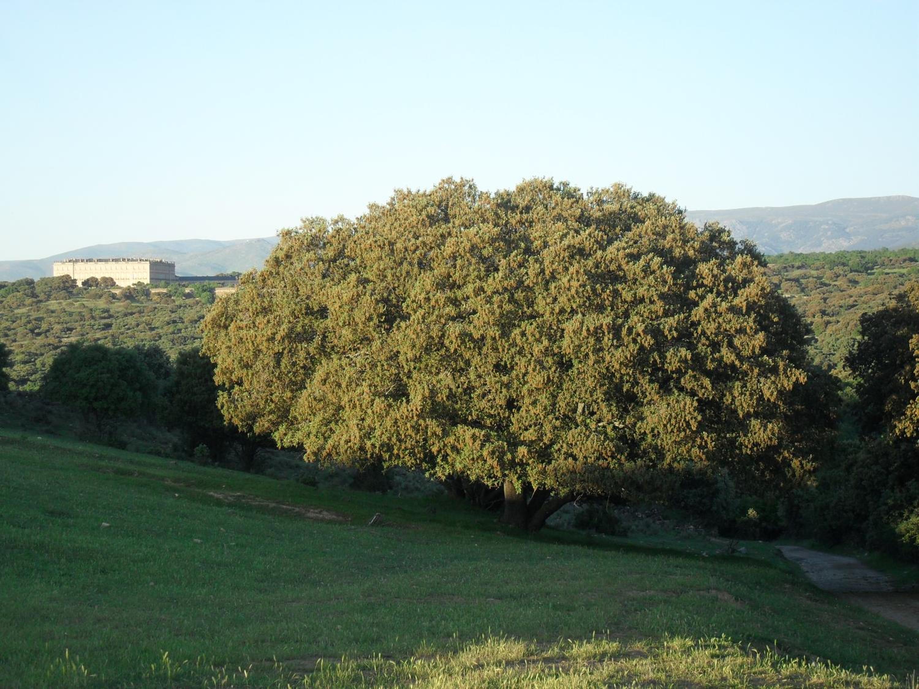 Photo 32