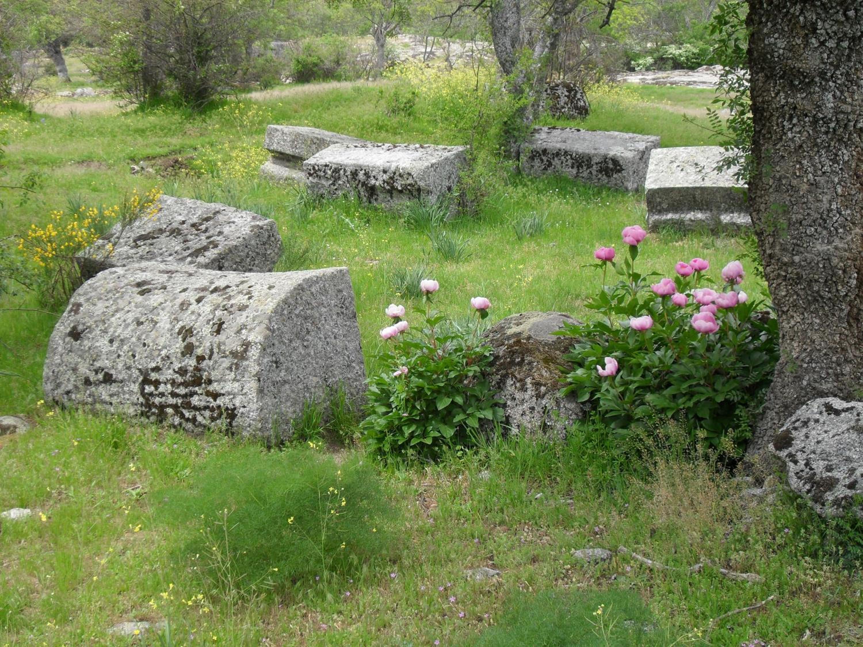Photo 30