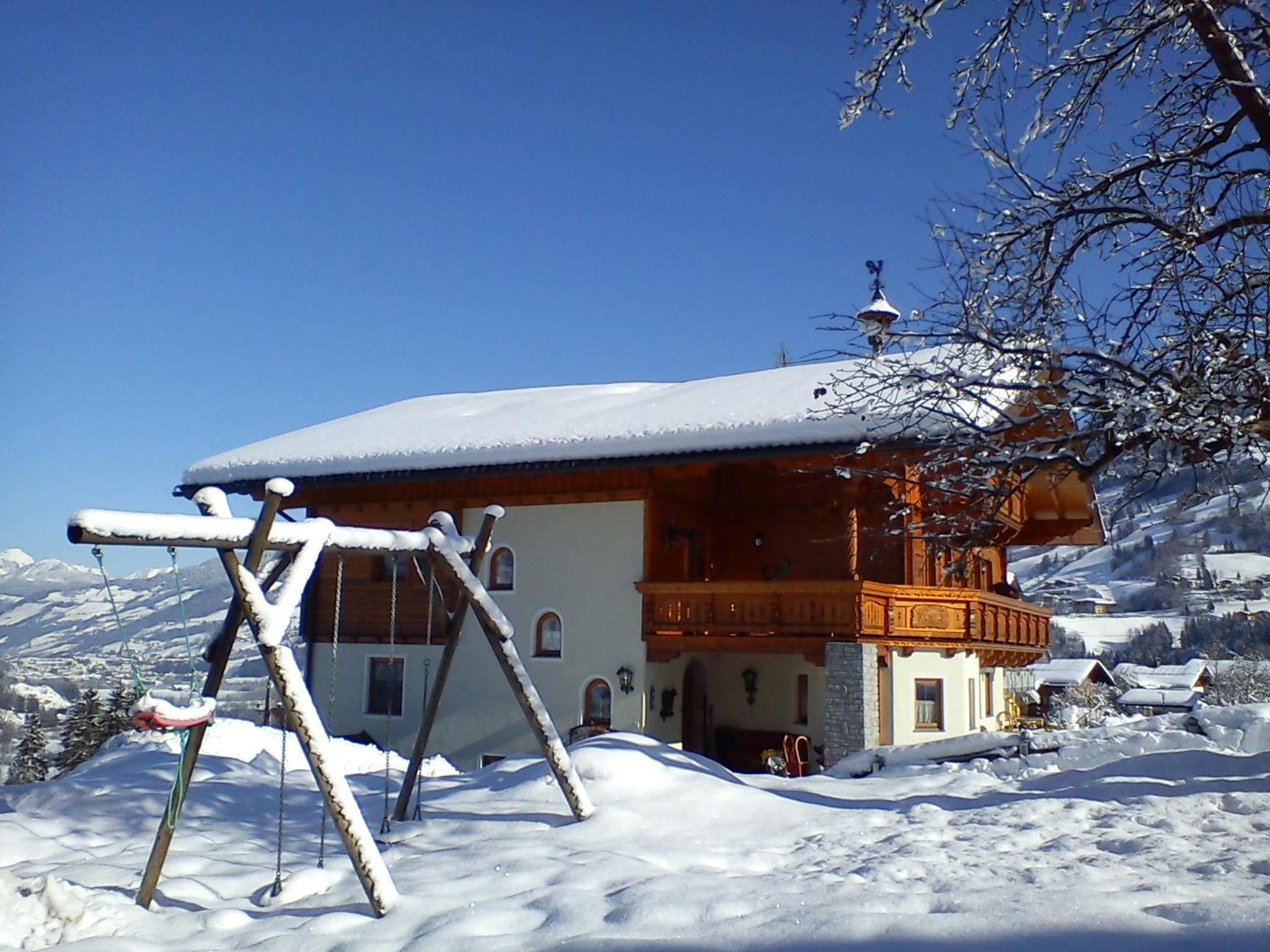 Photo 42