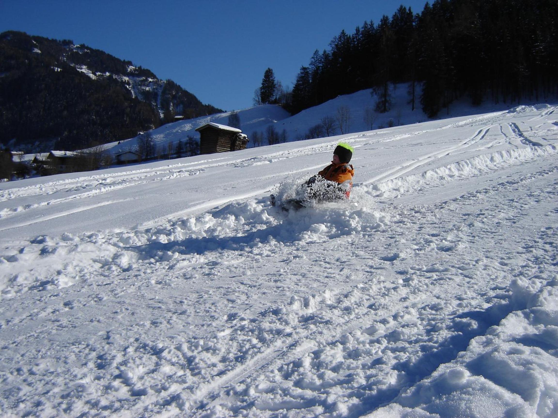 Photo 40