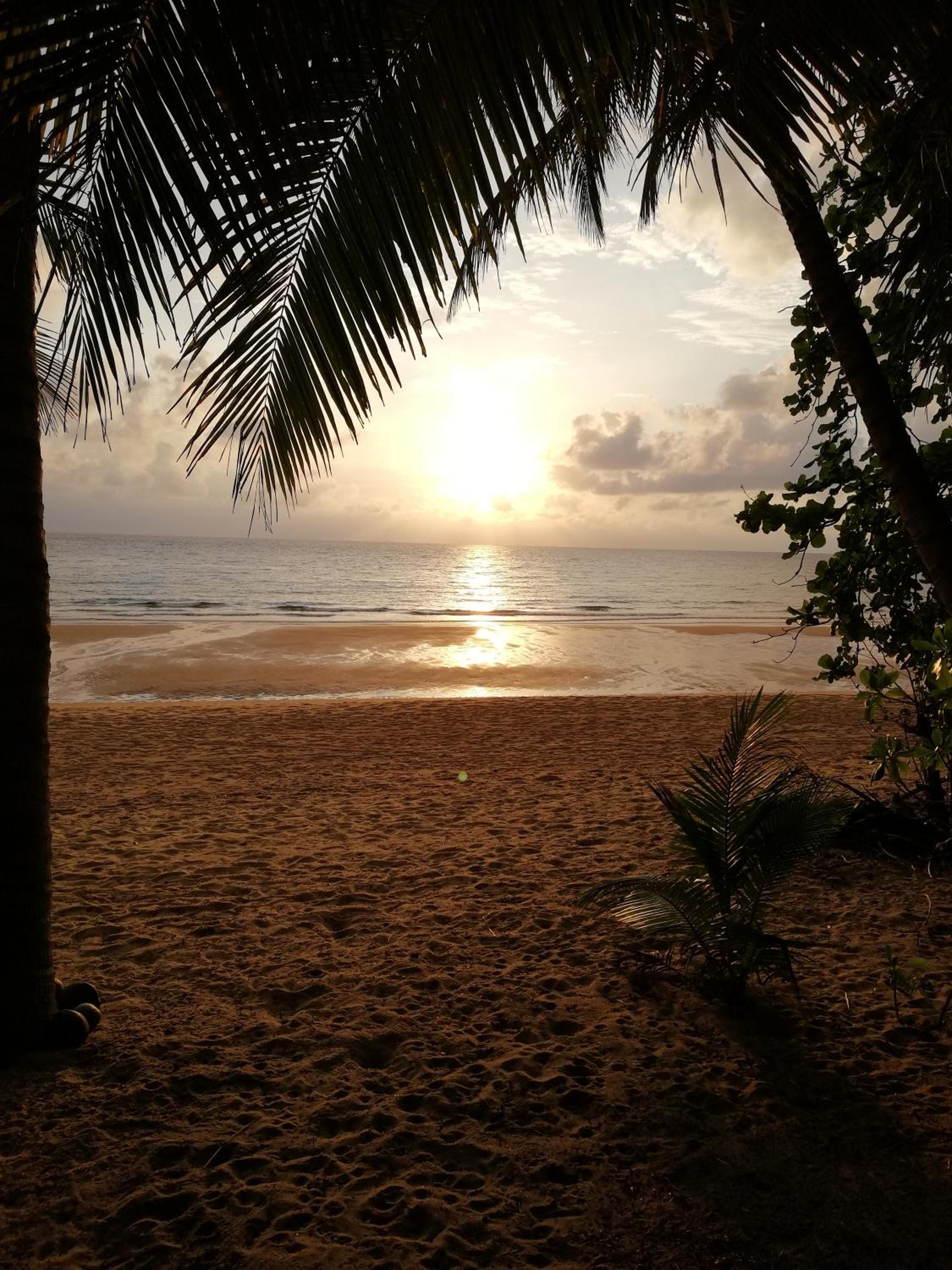 Photo 201