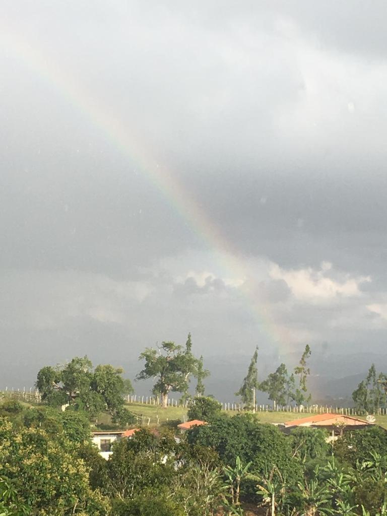 flat em serra negra - bezerros view 4