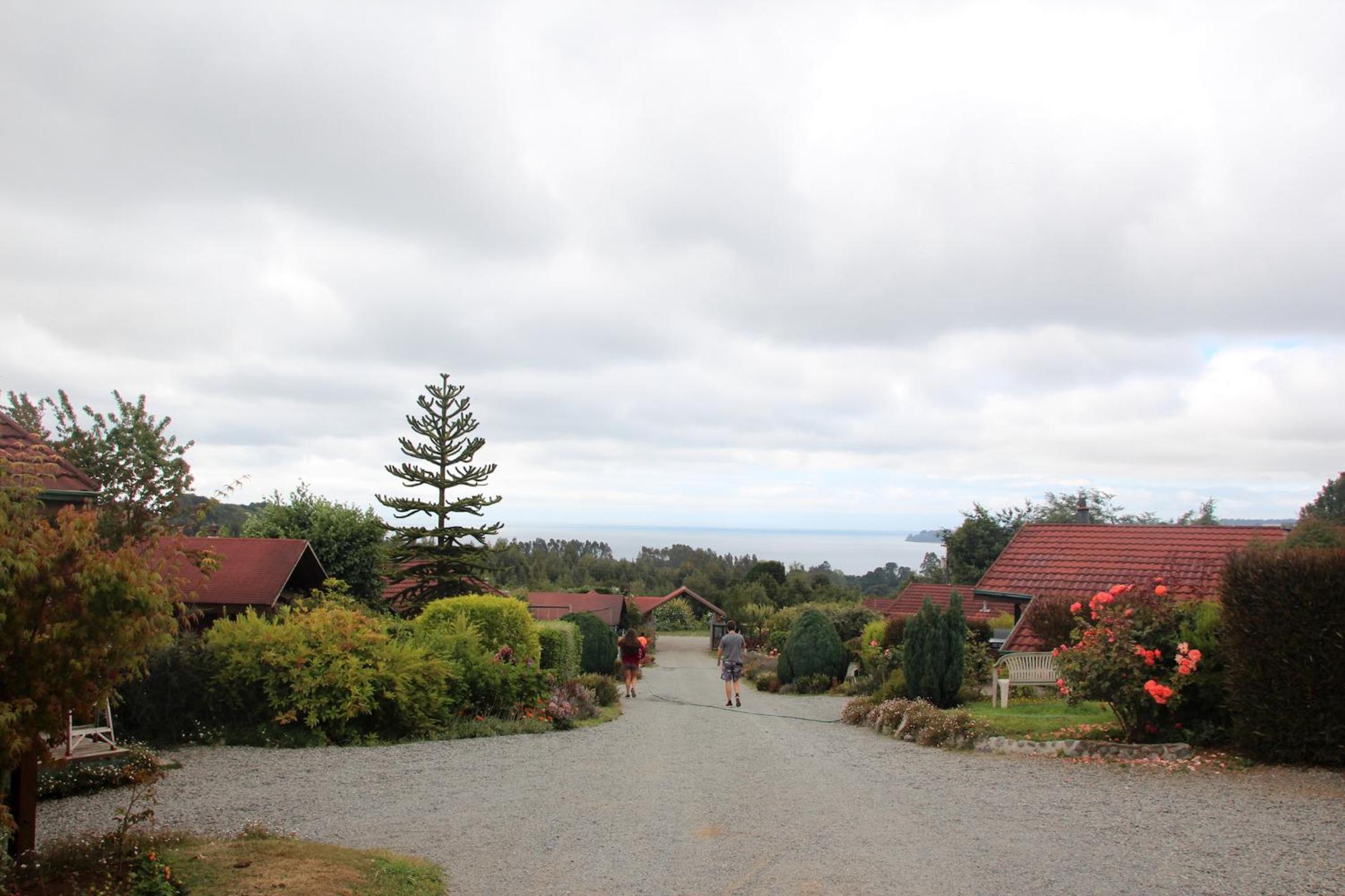 Photo 19