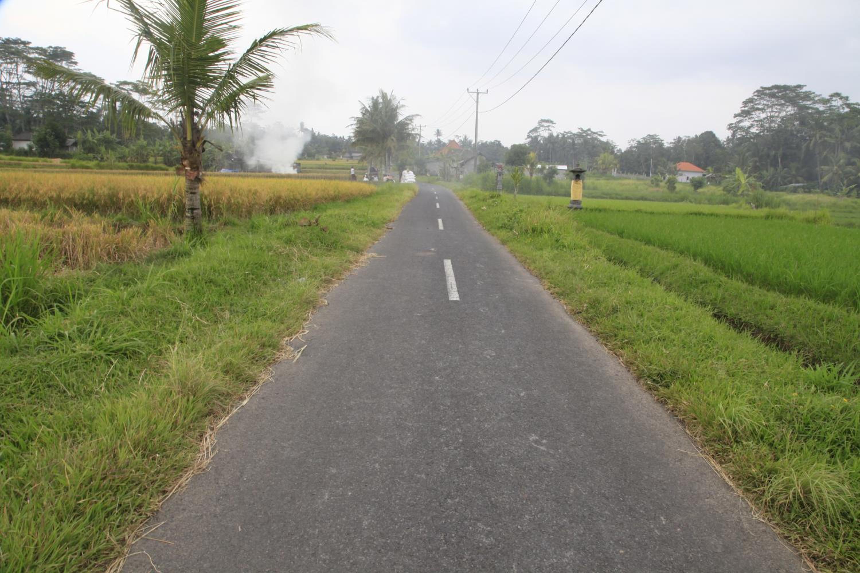Pondok Gepokan Homestay view 4