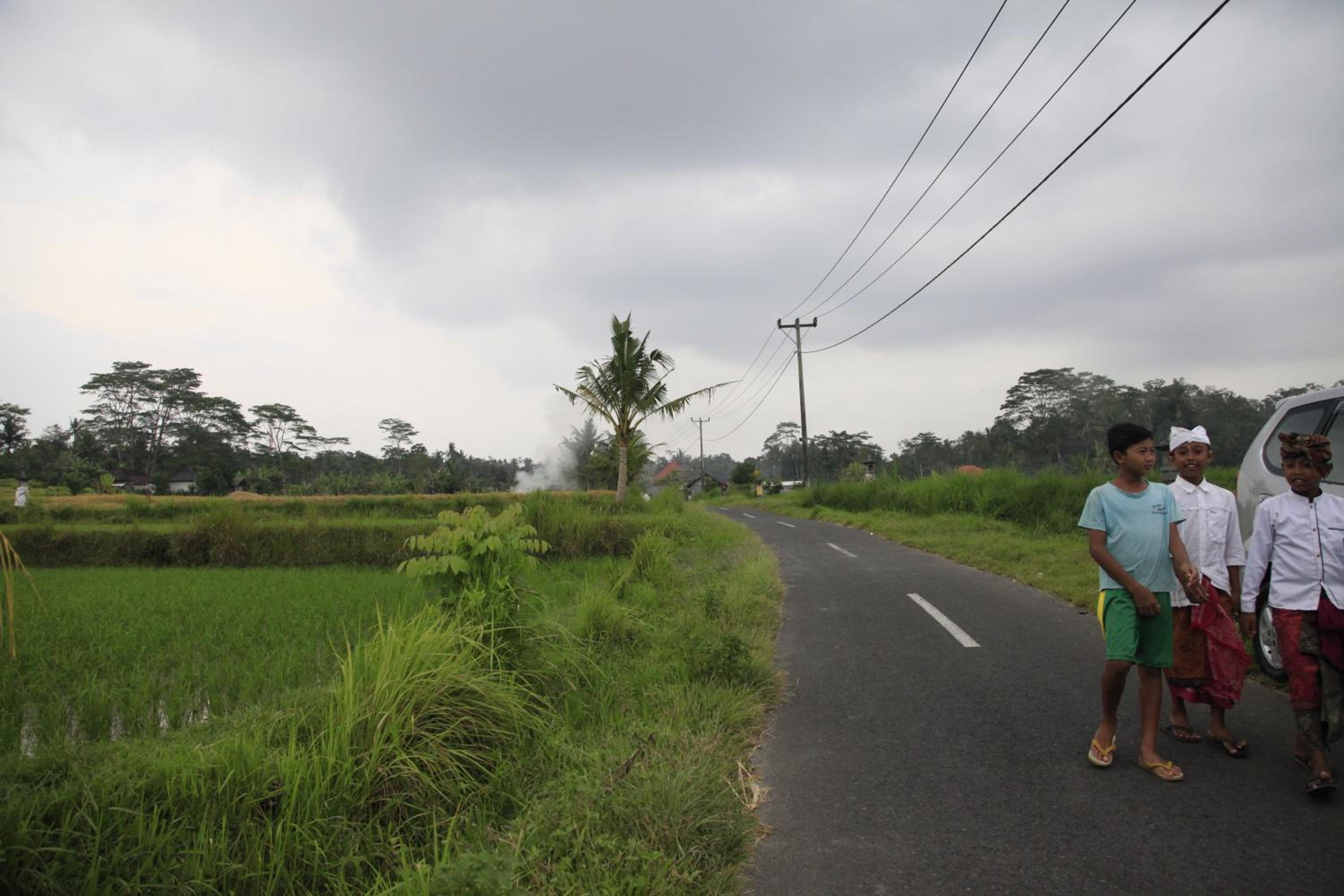 Pondok Gepokan Homestay view 5