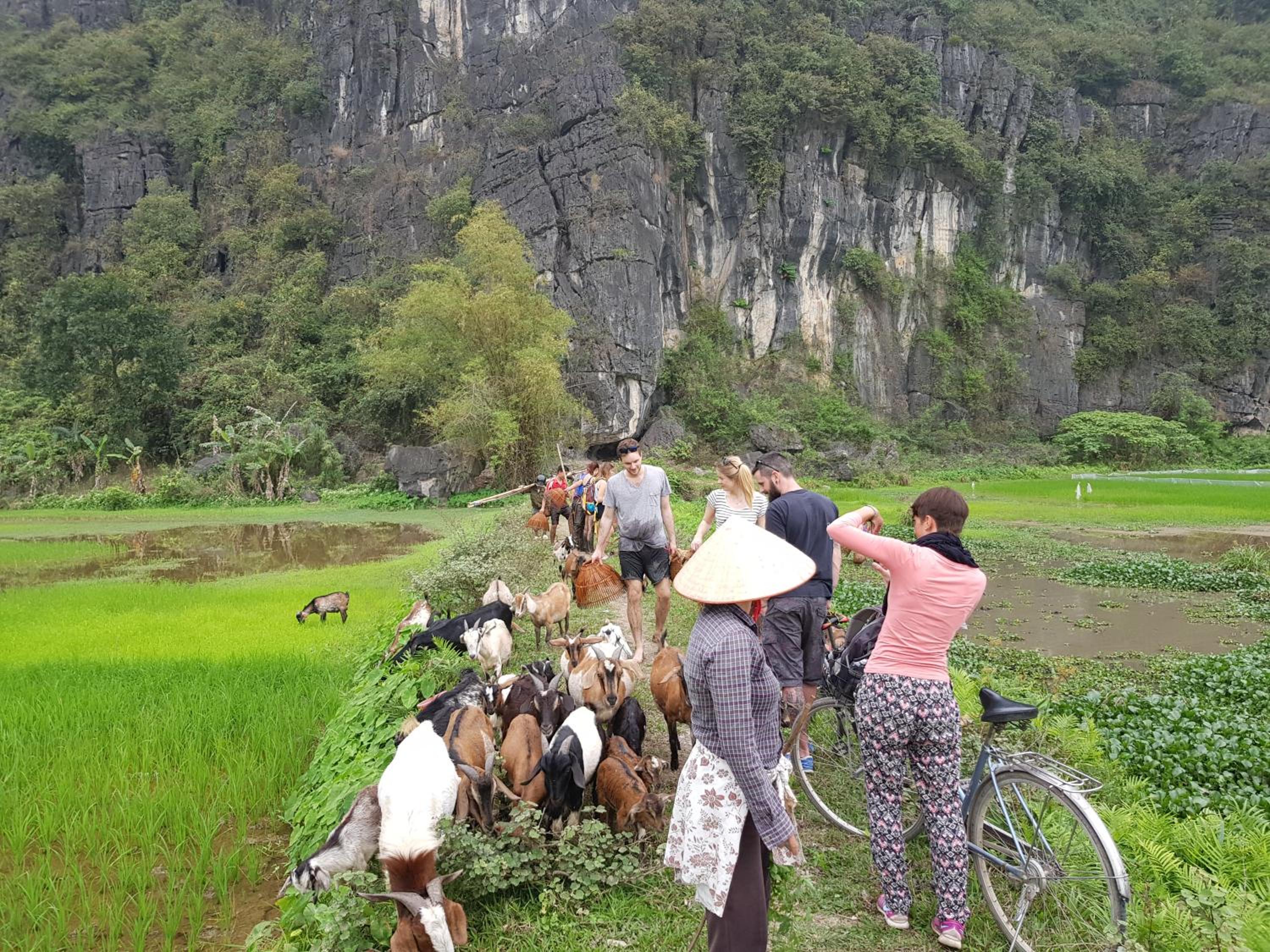 Tam Coc Horizon Bungalow