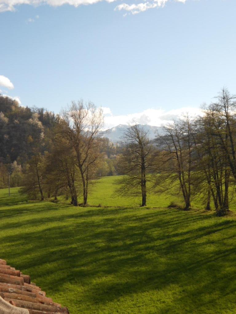B&B La Ceramica Moline