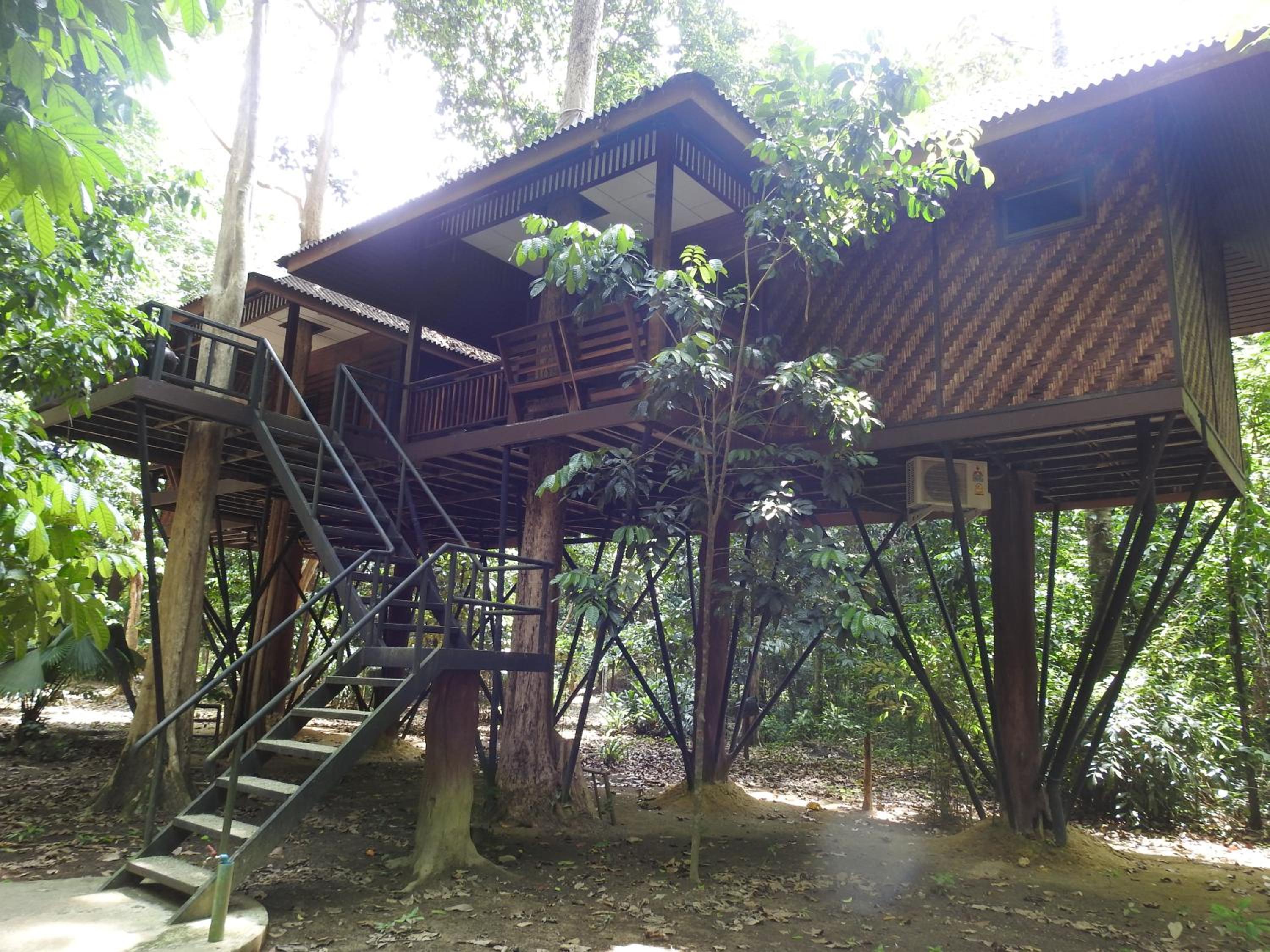 Khao Sok Nature Resort
