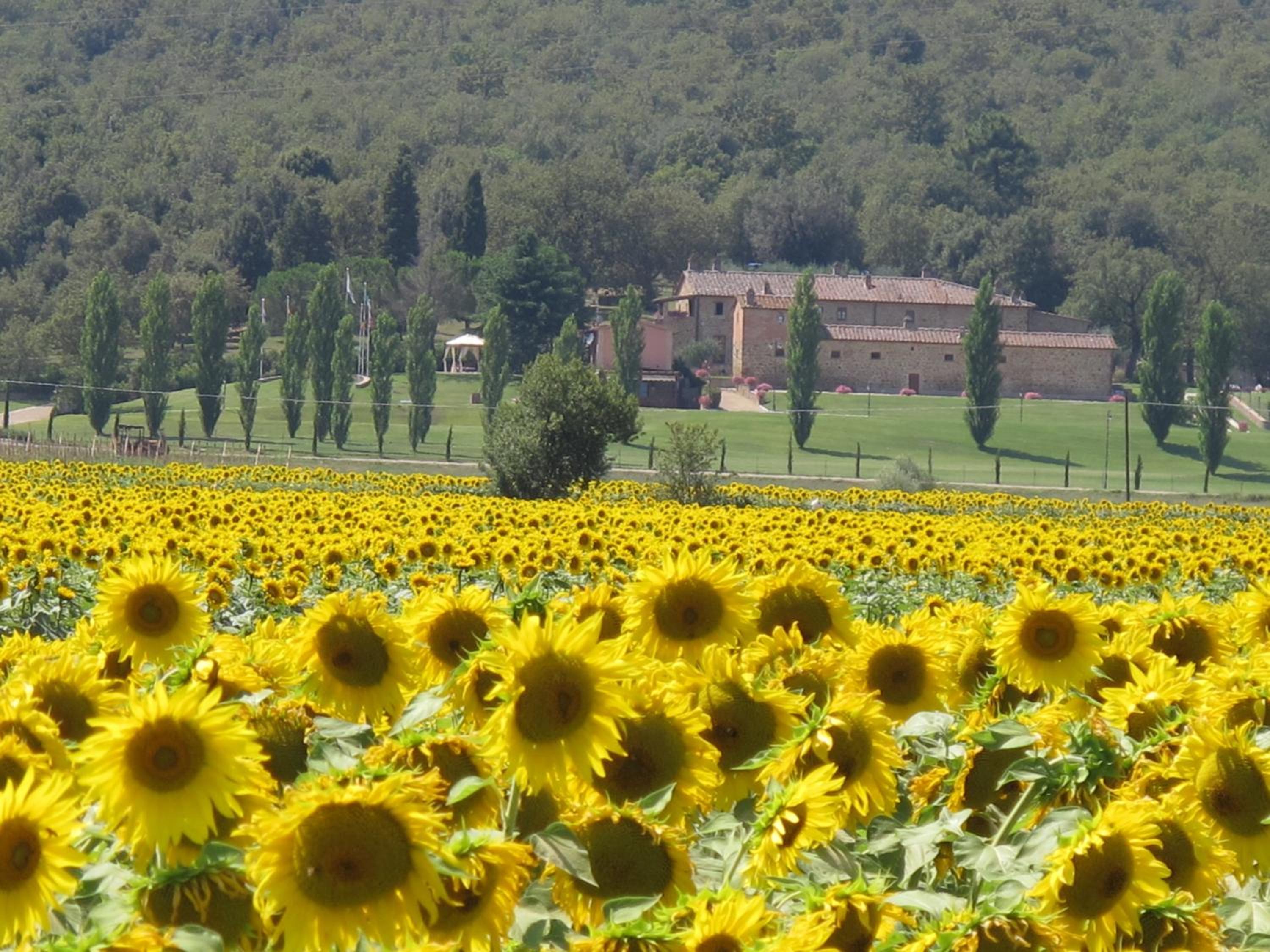 I Grandi Di Toscana