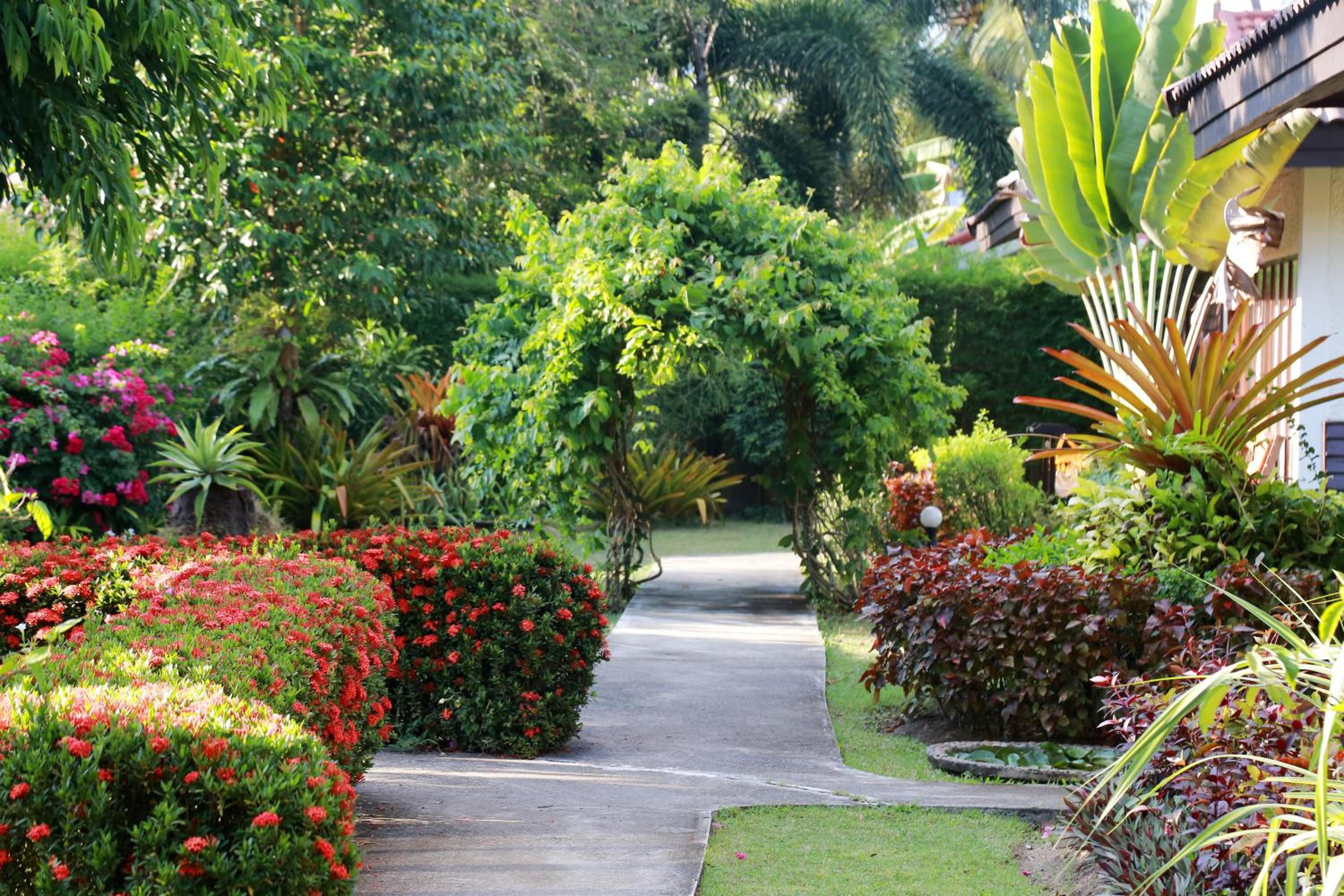 Viva Vacation Resort
