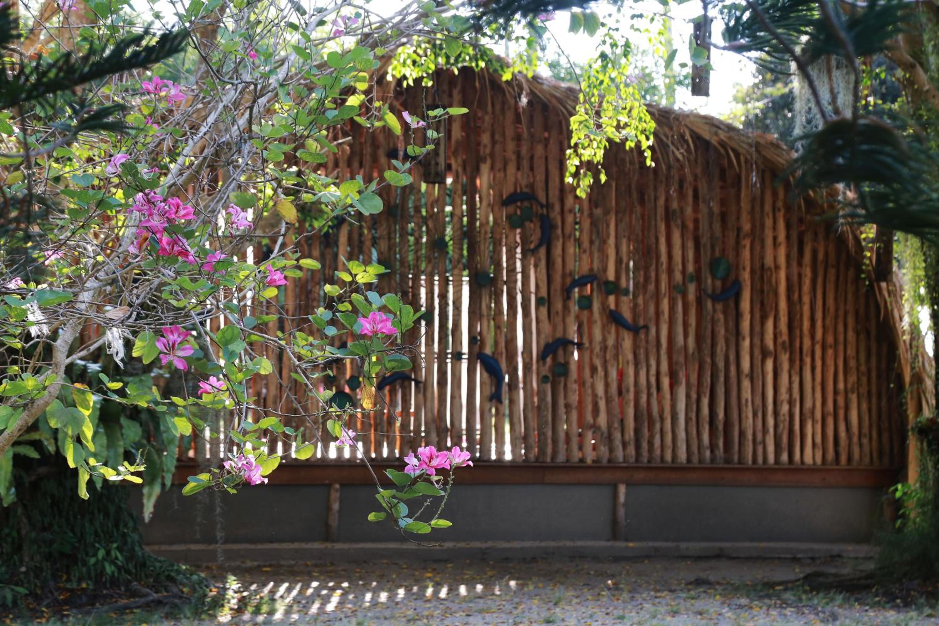Viva Vacation Resort