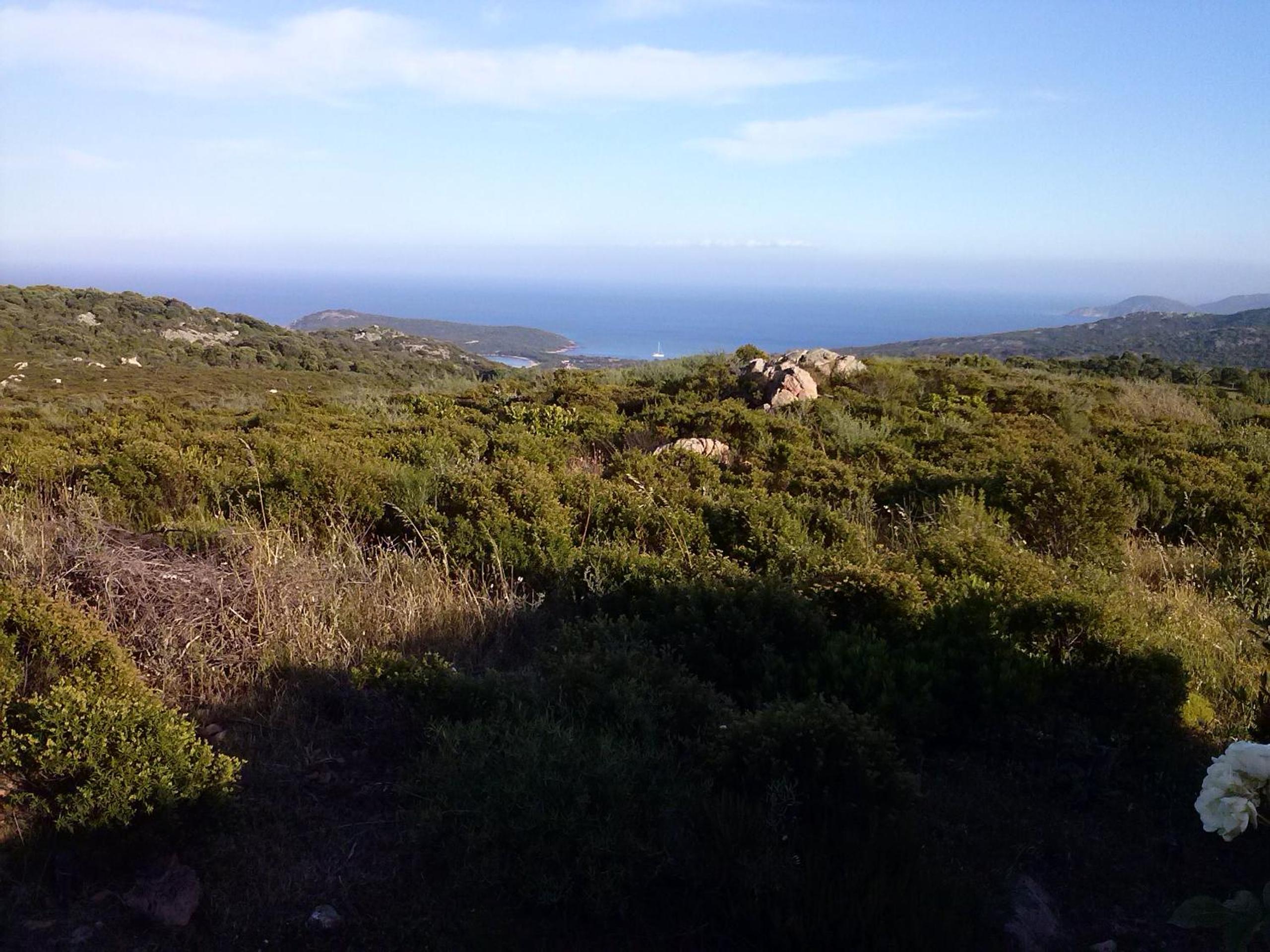 Photo 32