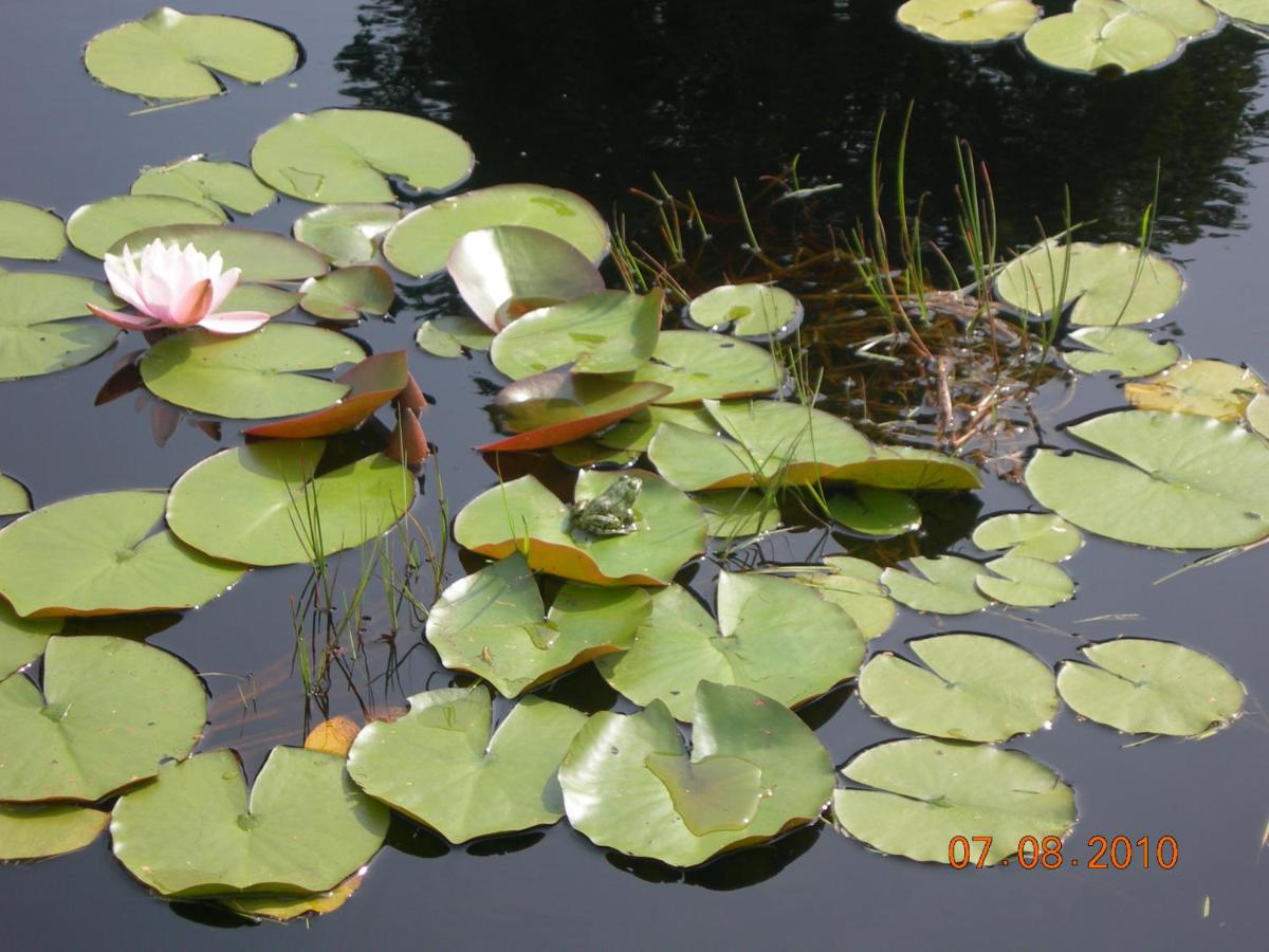 Photo 49