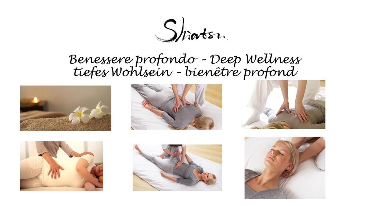 Il Cielo Bio - nature, relax, Shiatsu, massage, esplore Chianti view 2