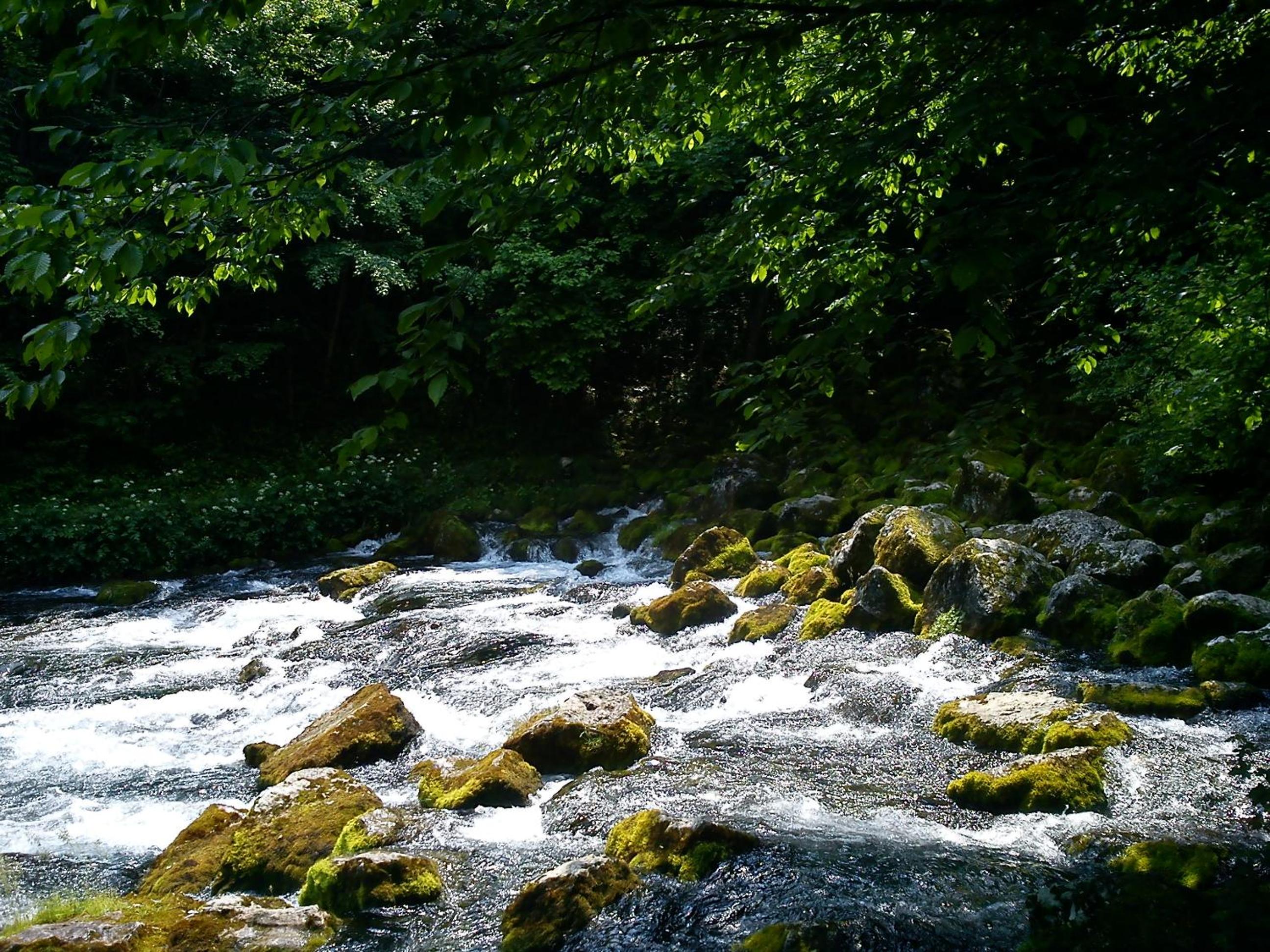 Vacation Home Pliva