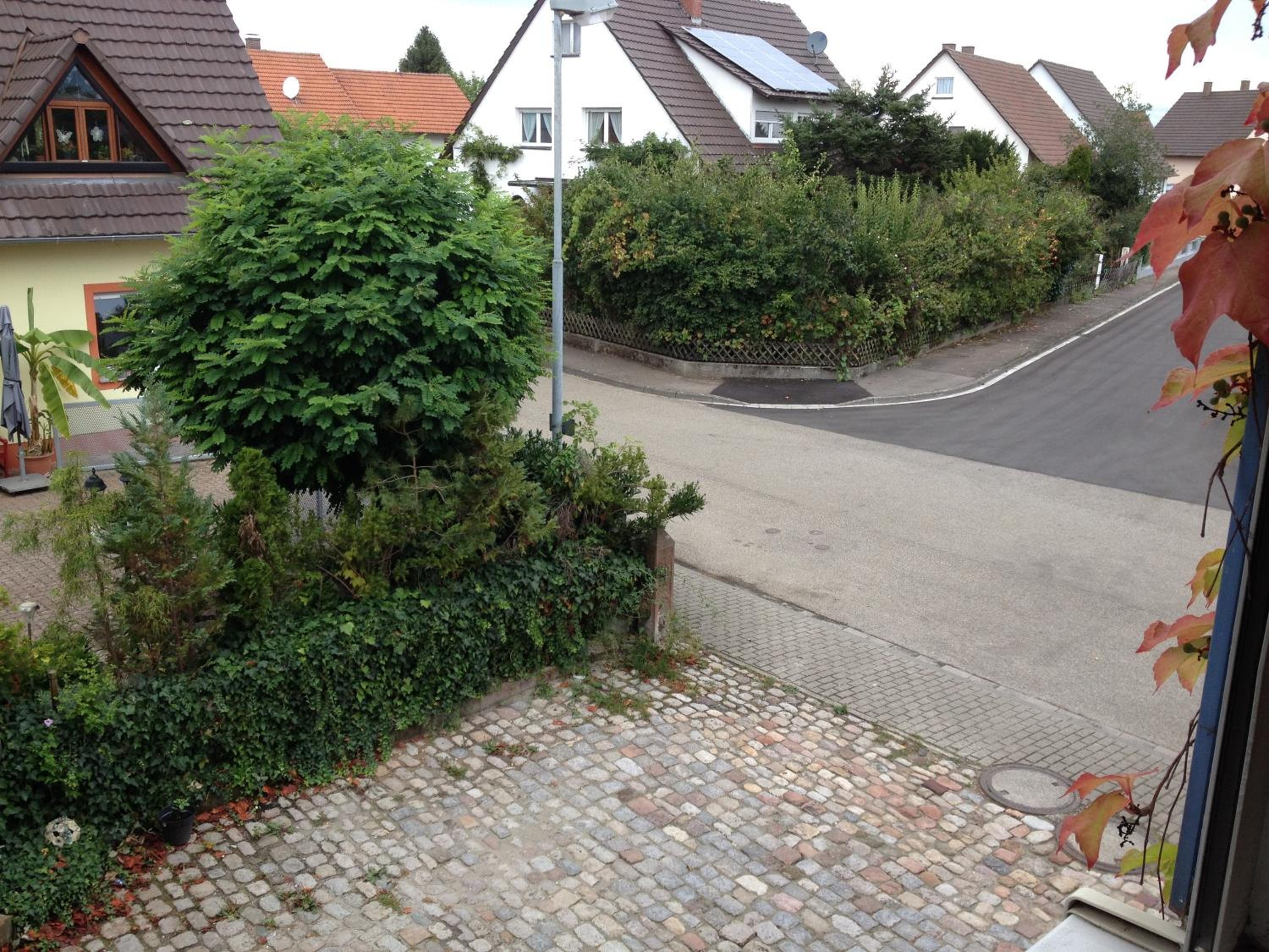 Photo 36