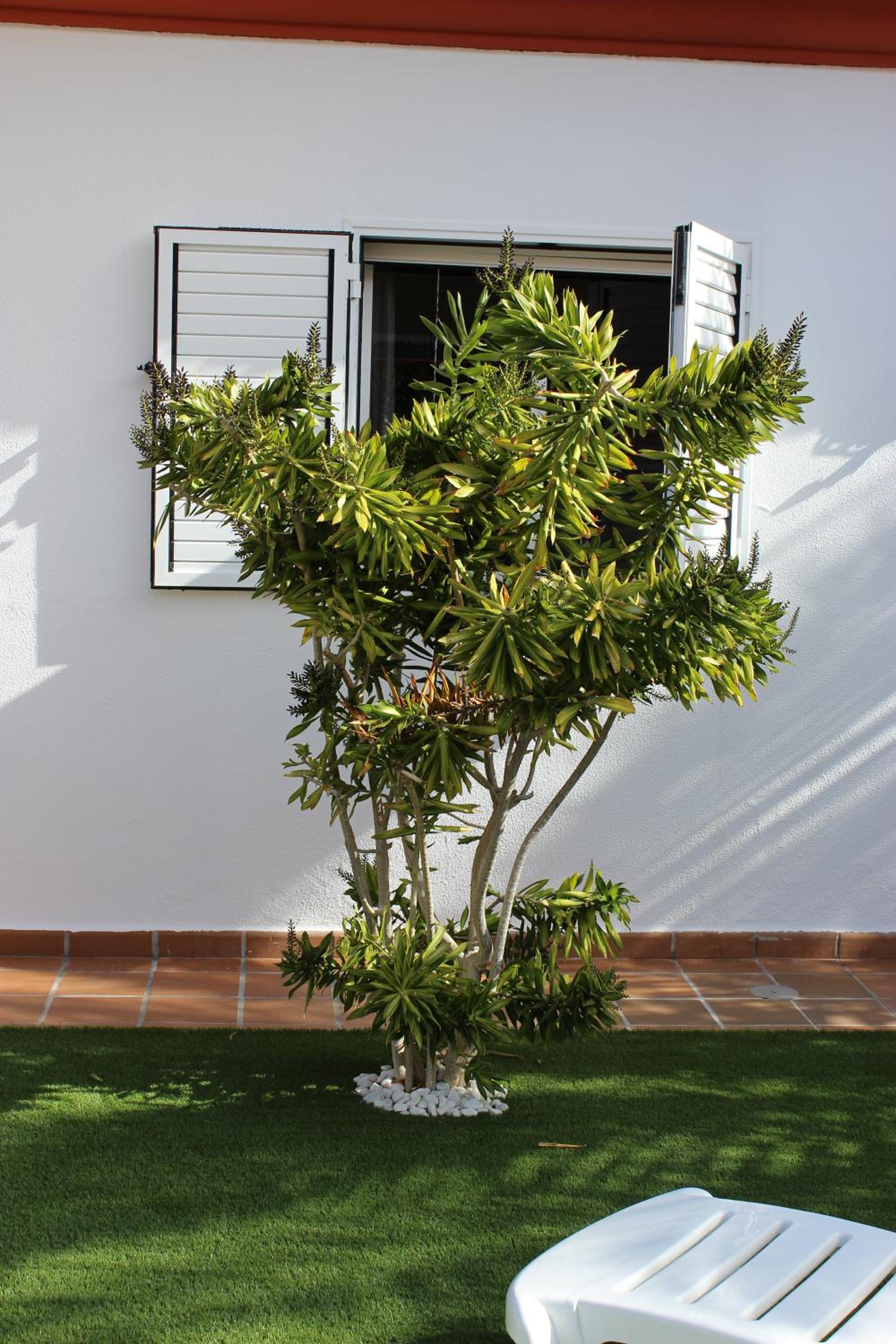 Photo 41