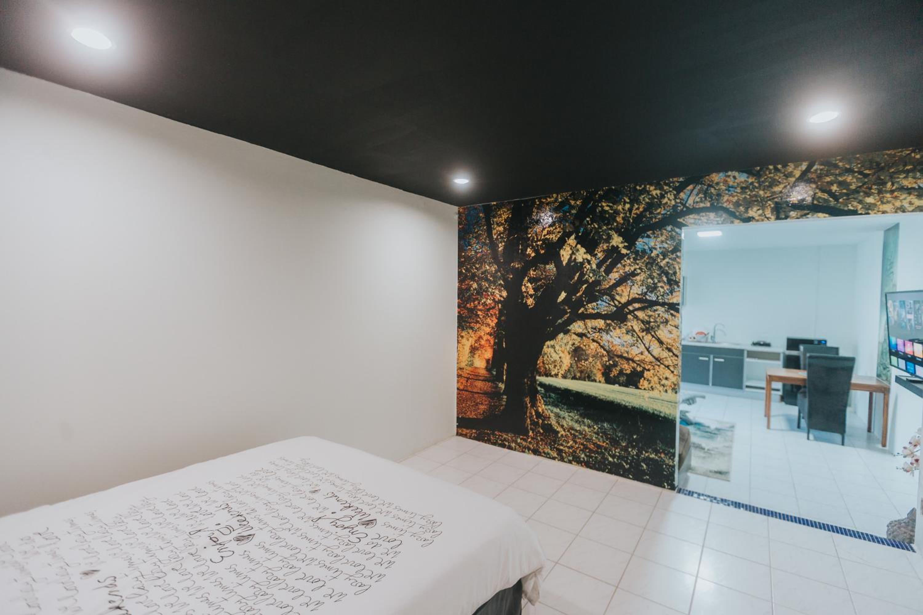Buddha Studios Aruba