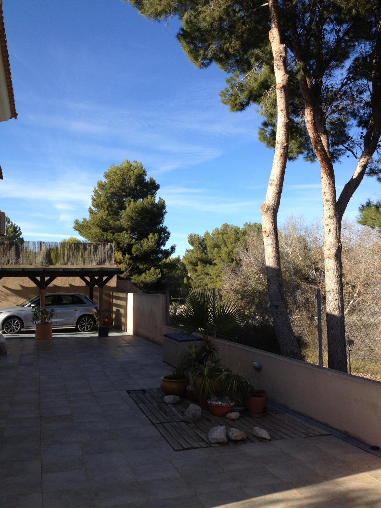 Photo 44