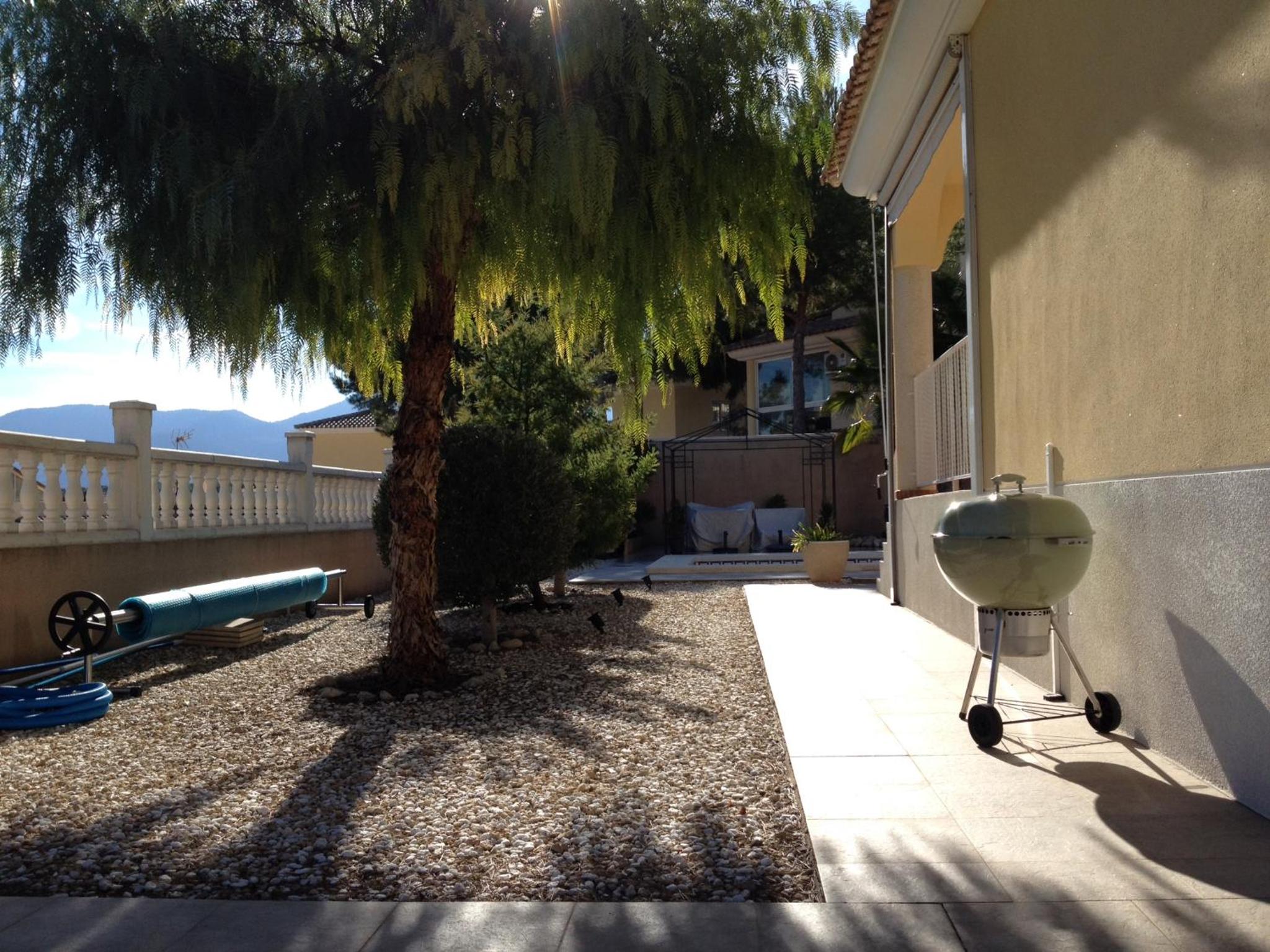 Photo 42