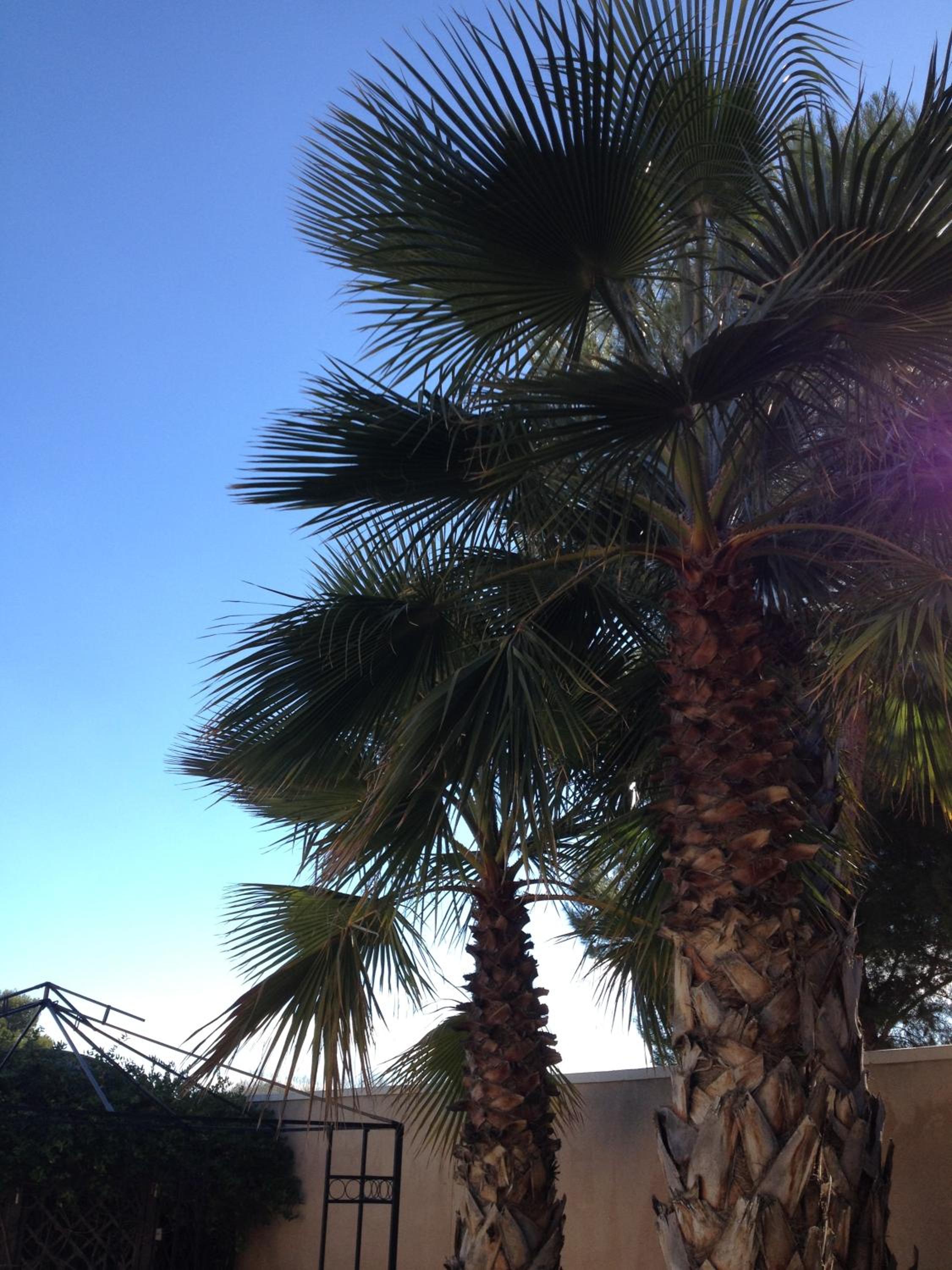 Photo 43