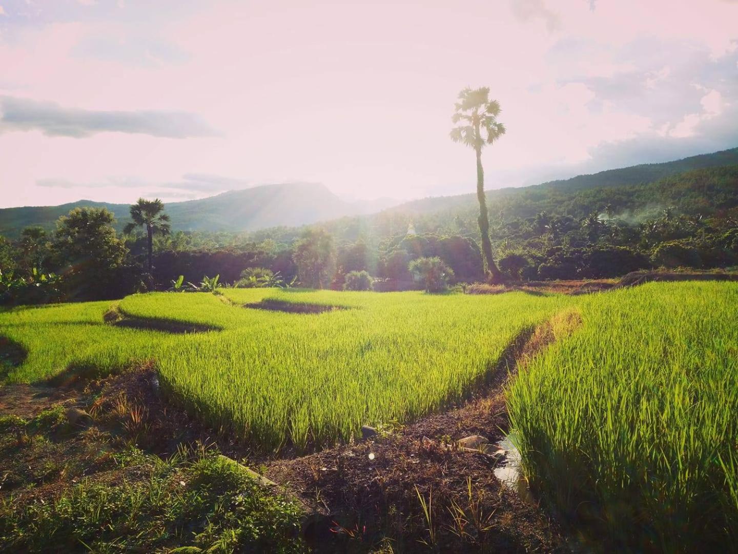 Suan Sook Homestay