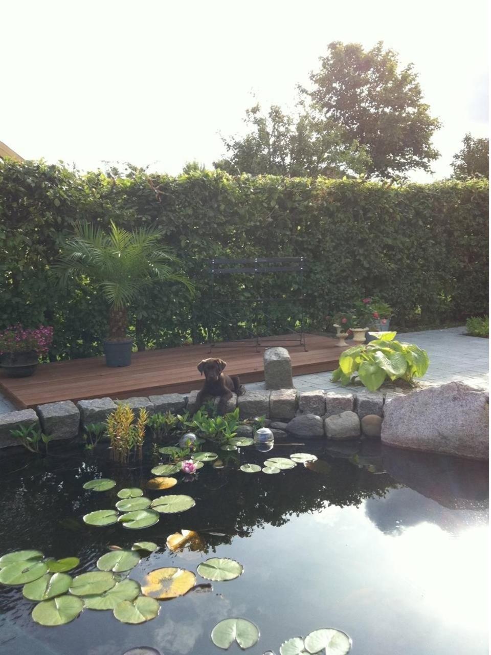 Bed & Breakfast Horsens - Udsigten