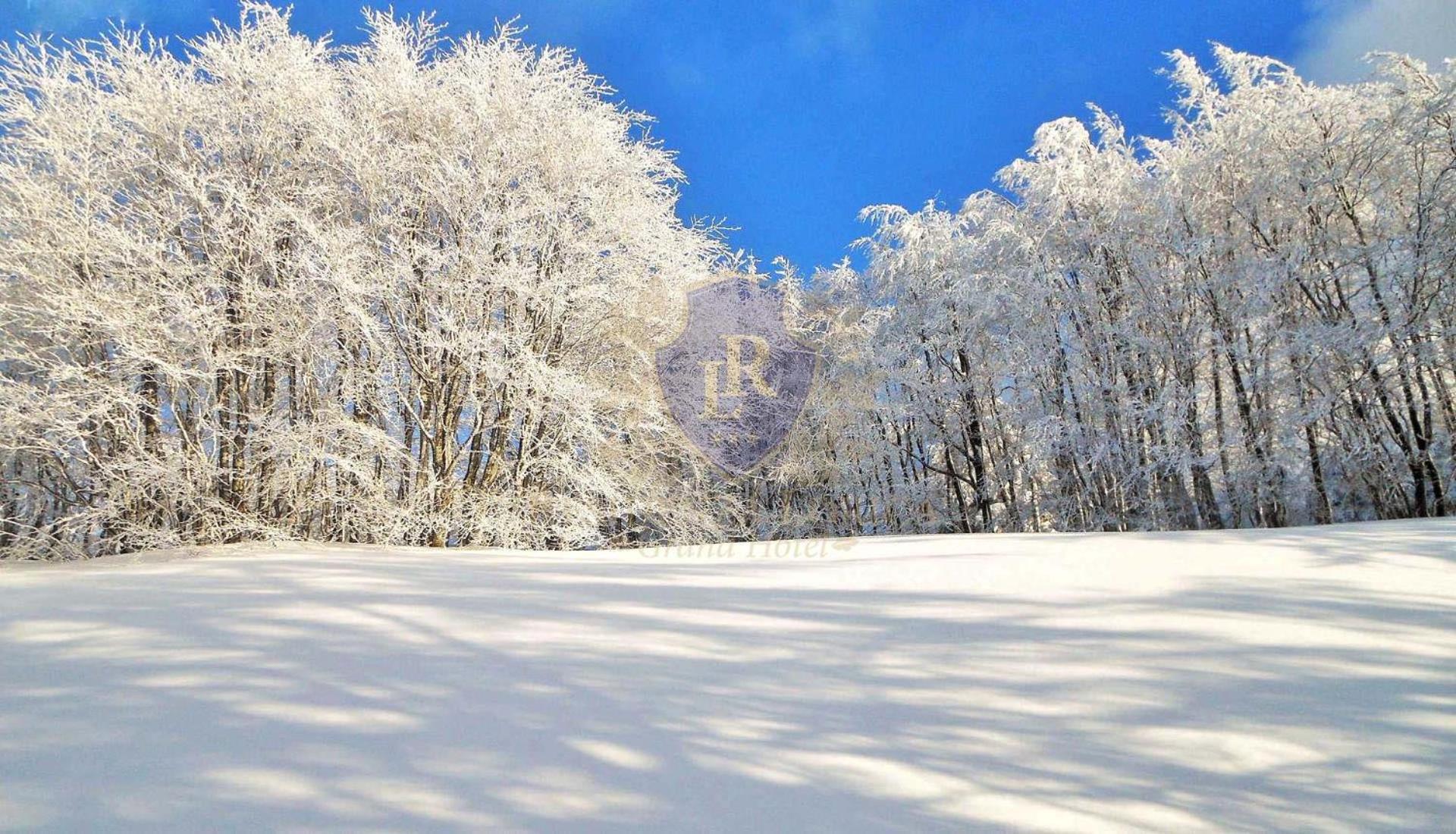 Appartamento in Residence Lorica view 3