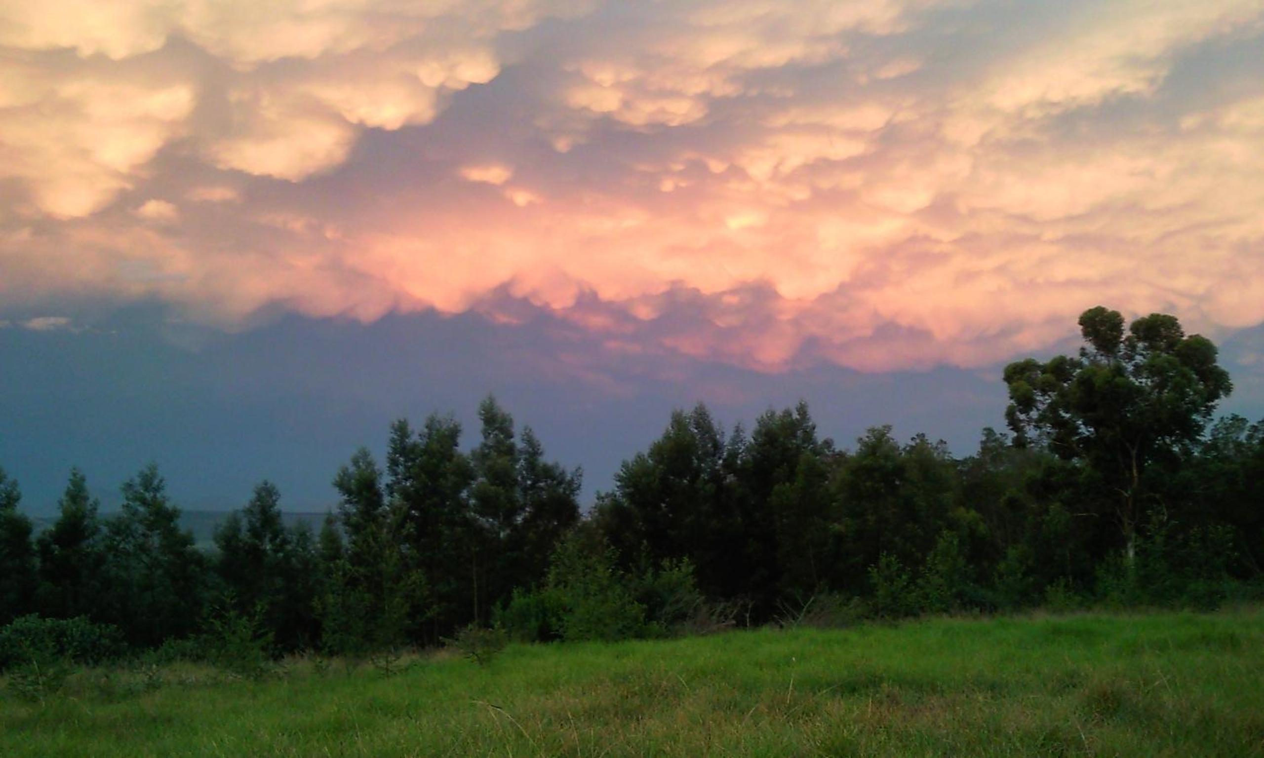 Photo 43