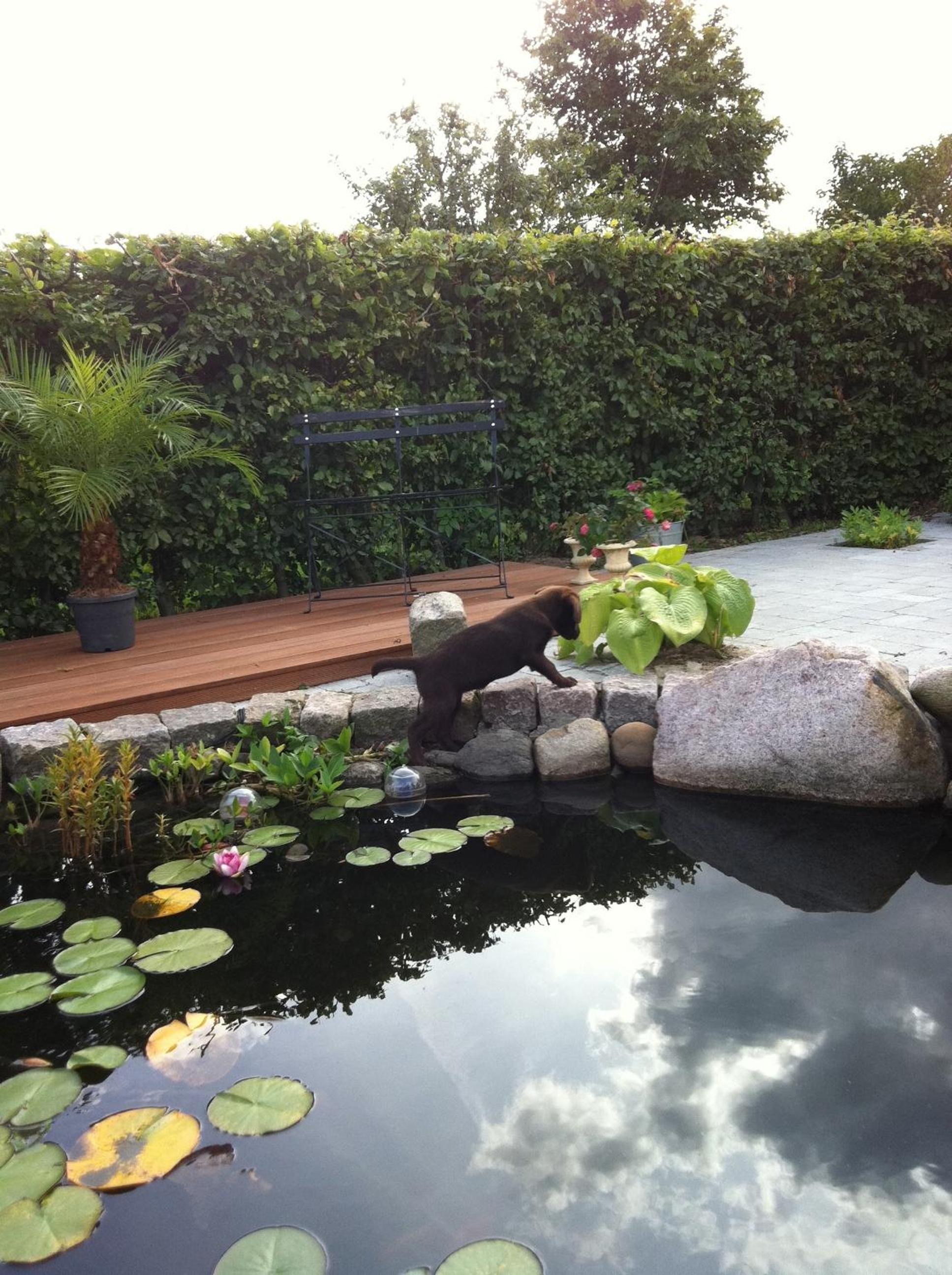 Bed & Breakfast Horsens - Udsigten