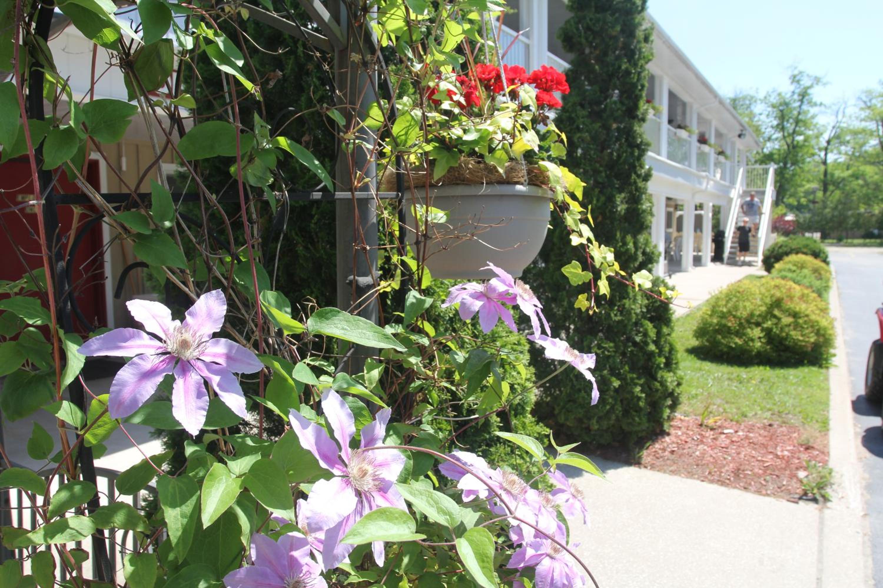 Saga Resort
