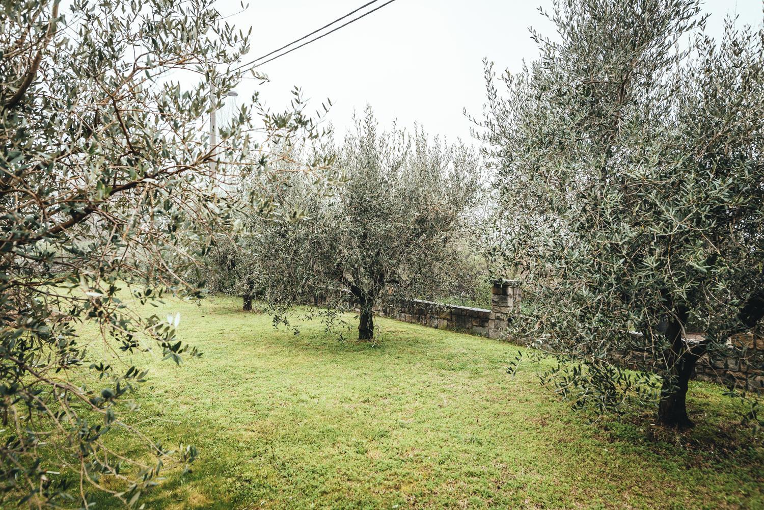 Apartma Nika view 3